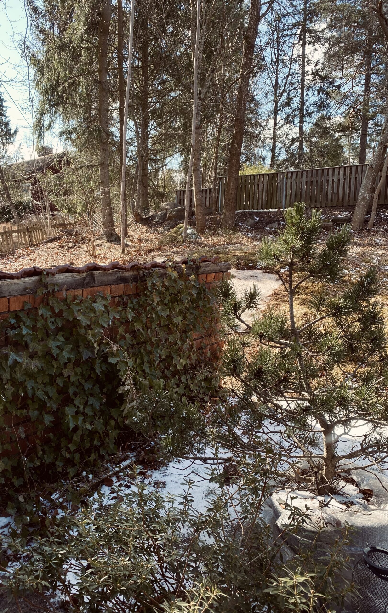 A house adorned