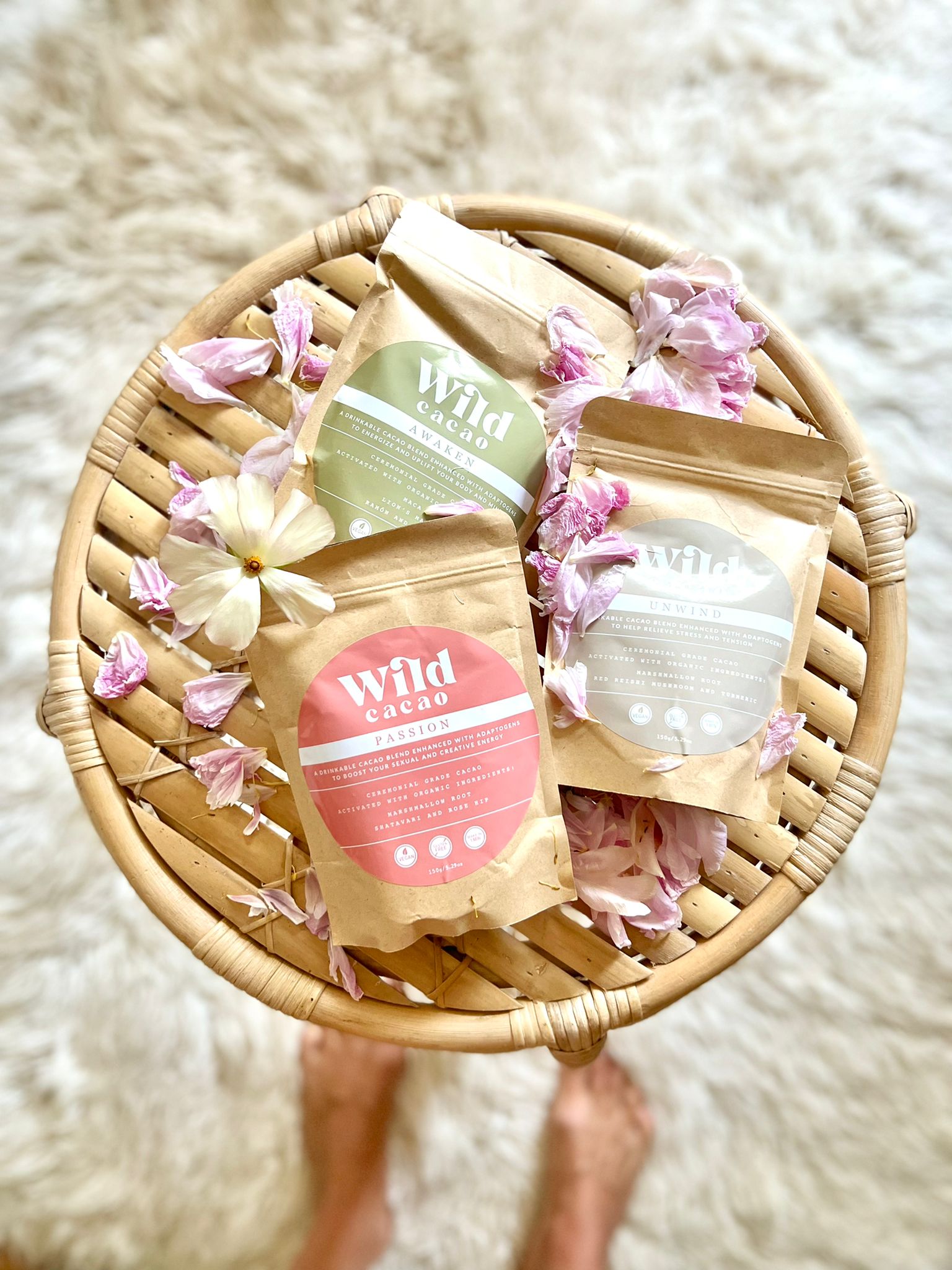 Wild Cacao Collective
