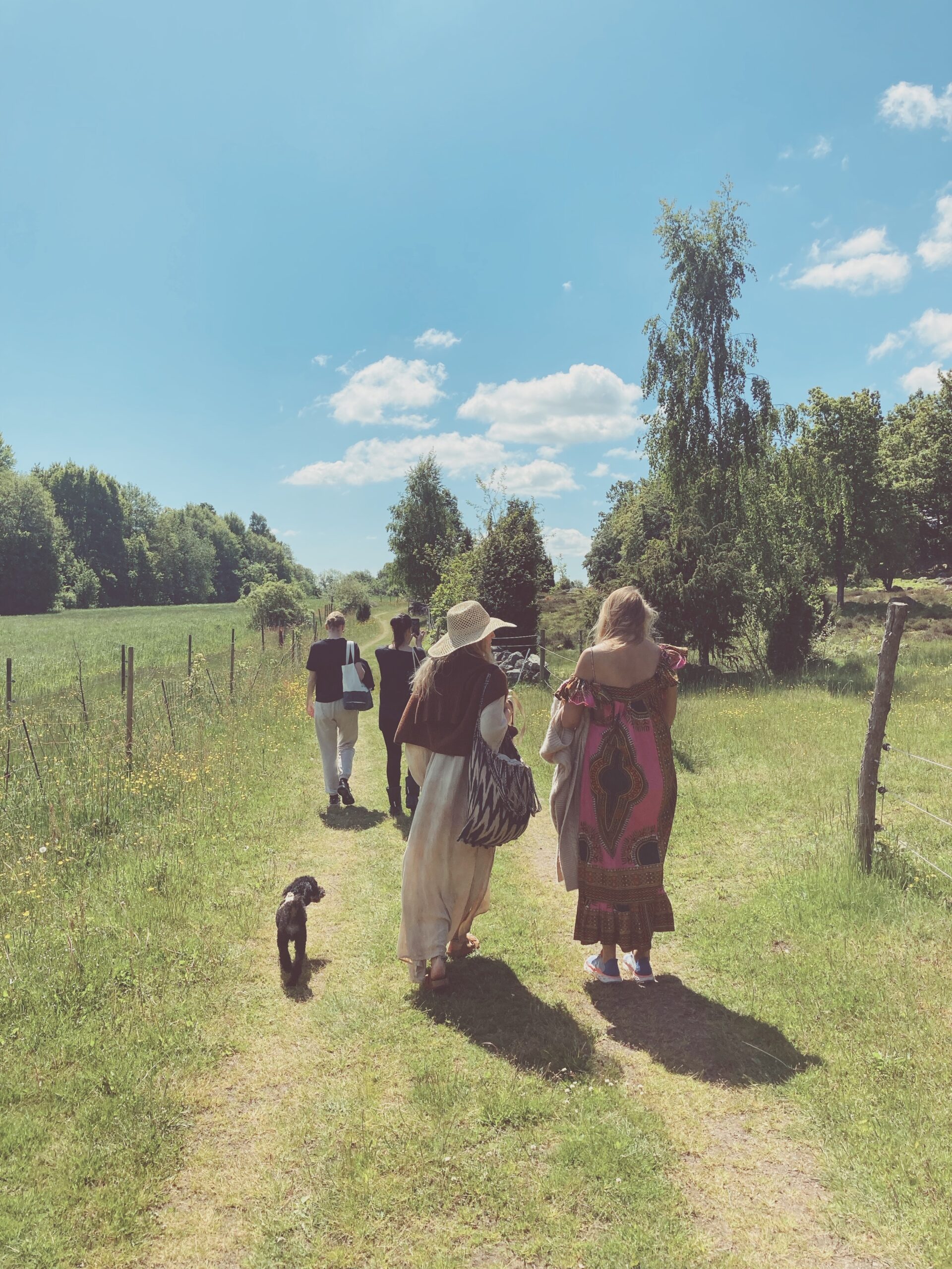 Healing Retreat at The Wild Meadow