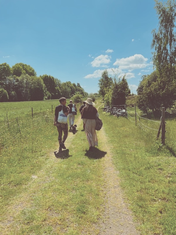 Healing Retreat at The Wild Meadow