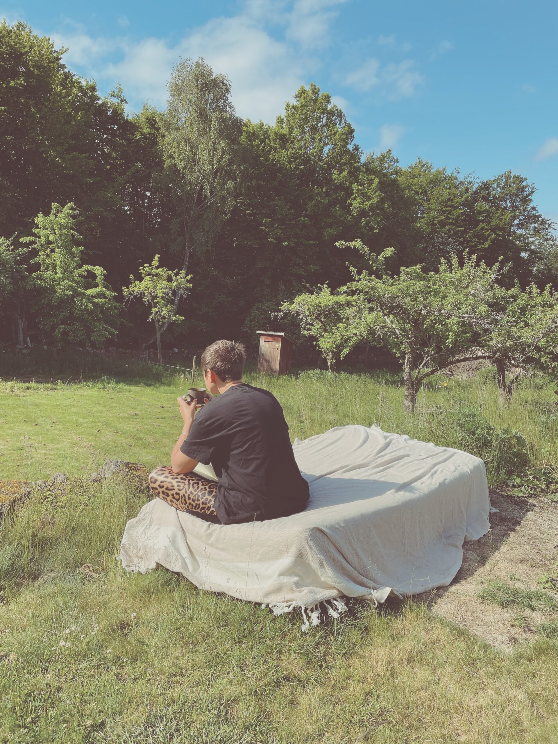 Healing Retreat at The Wild Meadow