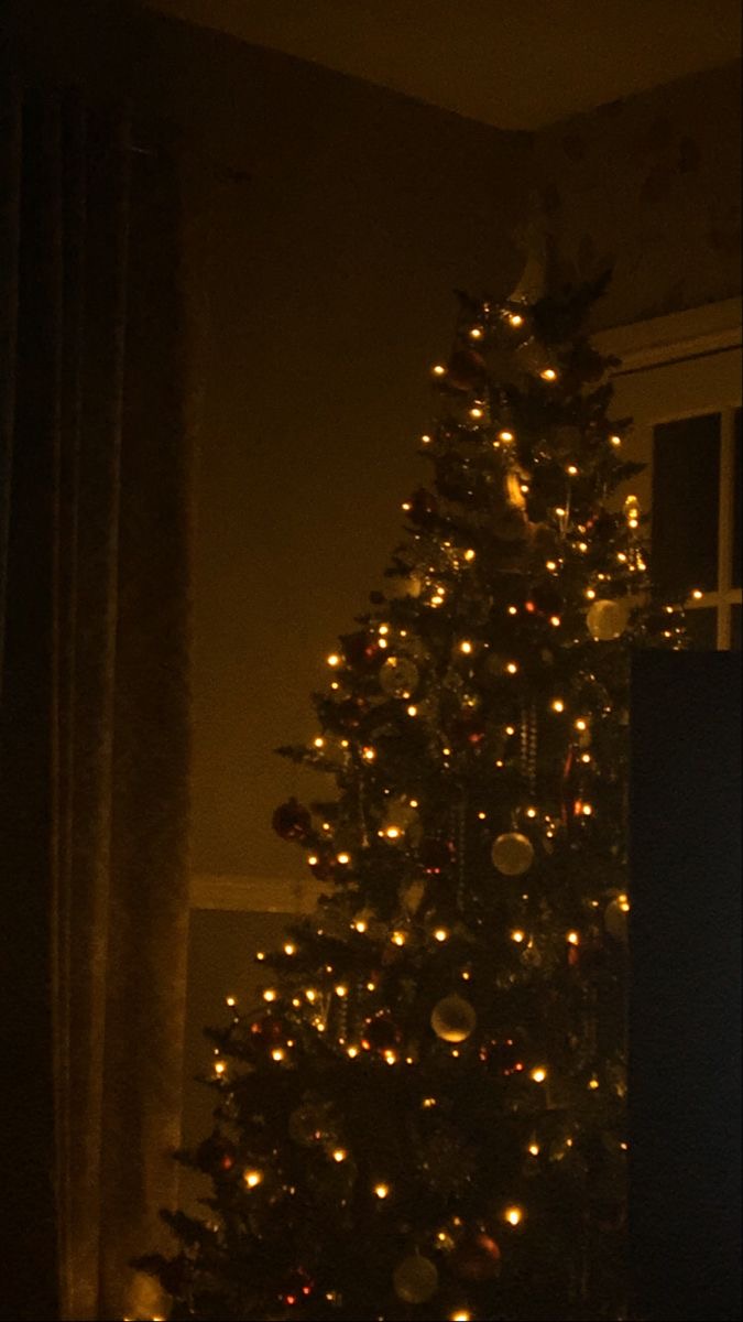 Holidays are comming