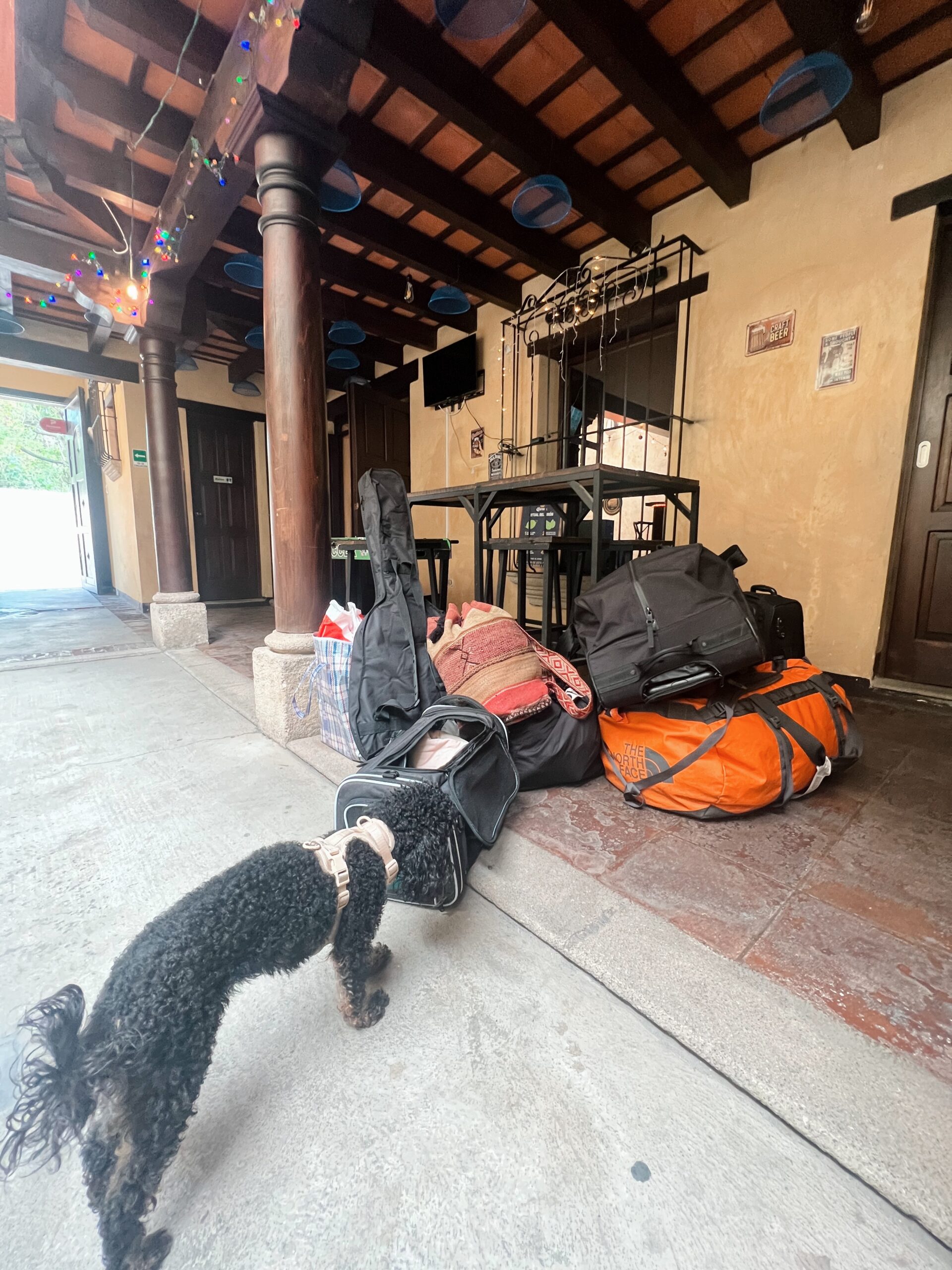 Traveling to Mexico and Central Amerika with a dog