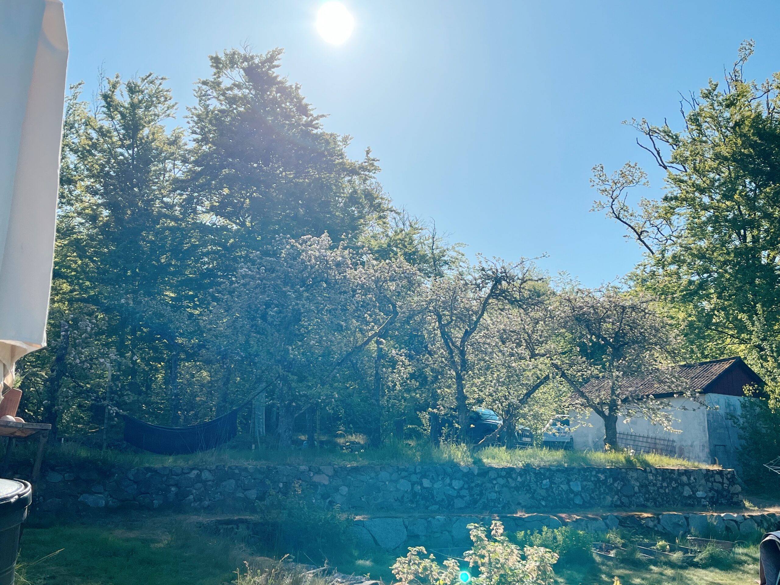 Ceremonial Breathwork Training in The Wild Meadow/ Breathwork kurs Skåne