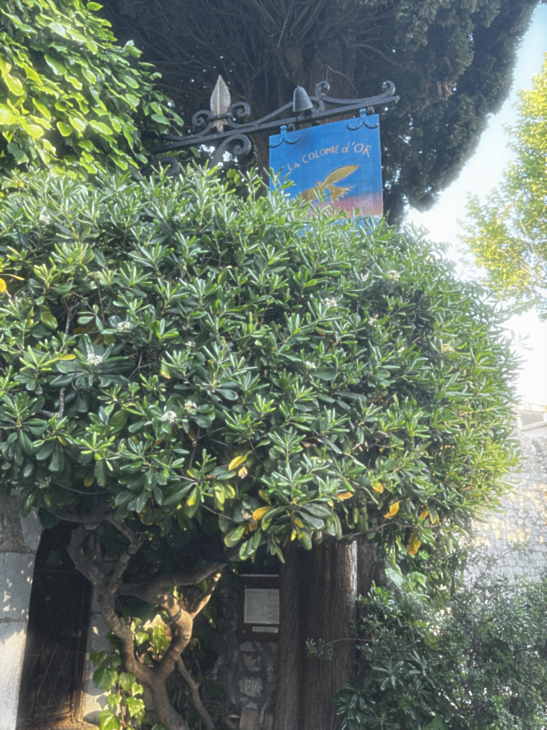 SAINT-PAUL-DE-VENCE