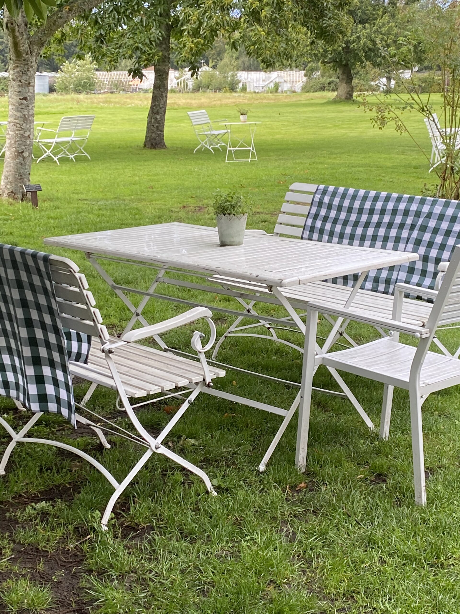 Sensommar bröllop på Bjärehalvön