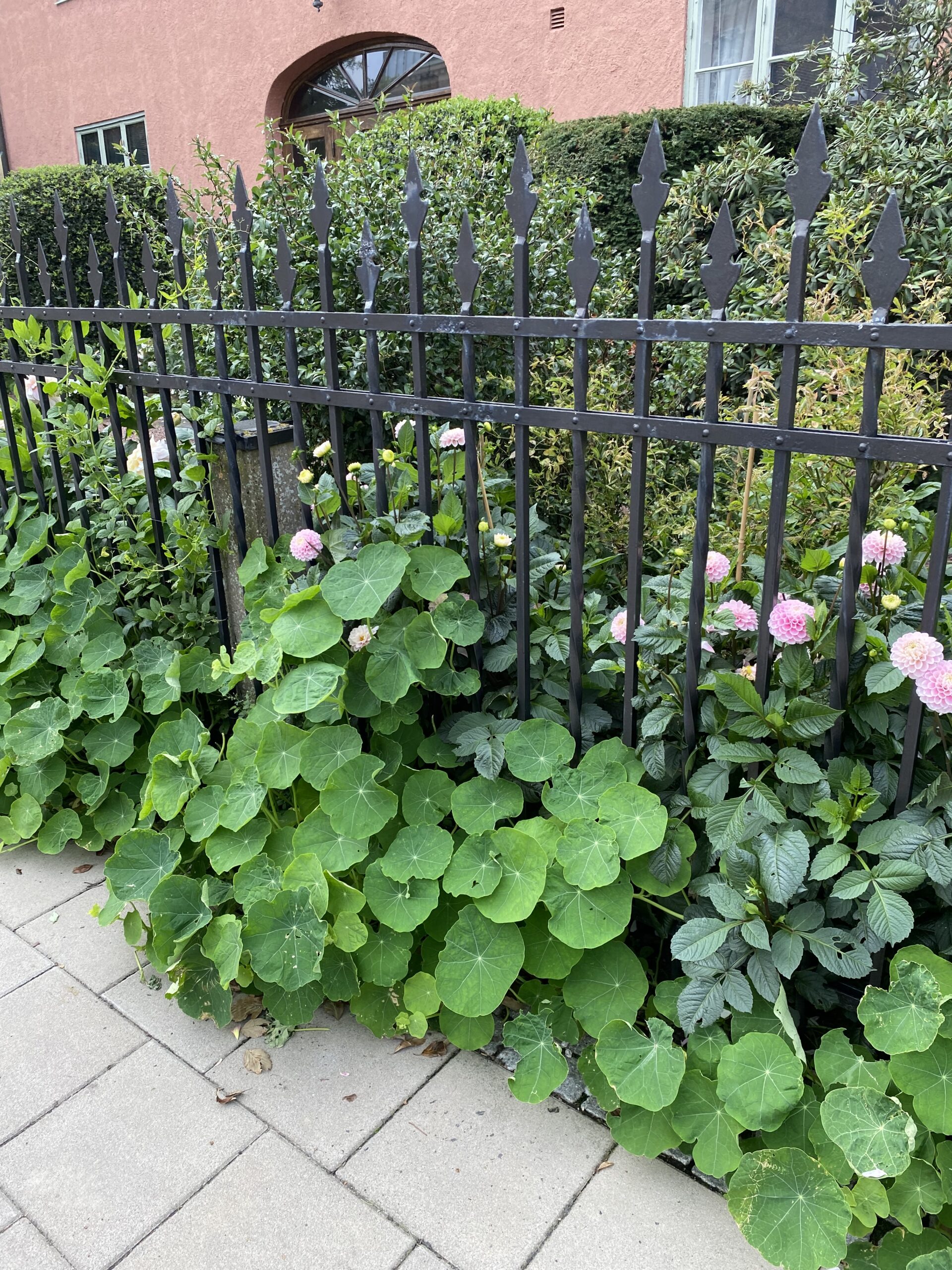 Sensommar bröllop på Bjärehalvön