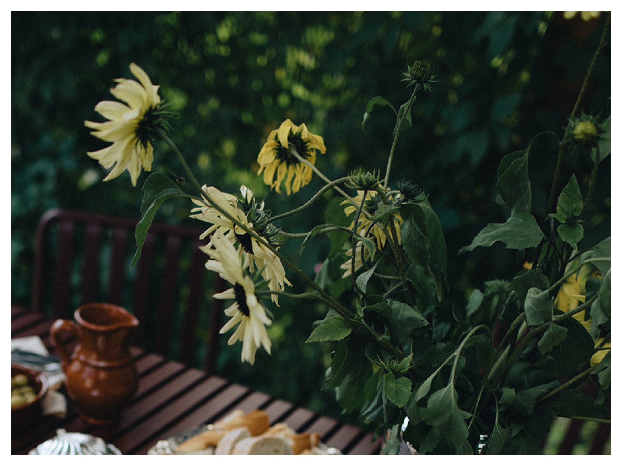 August Stories