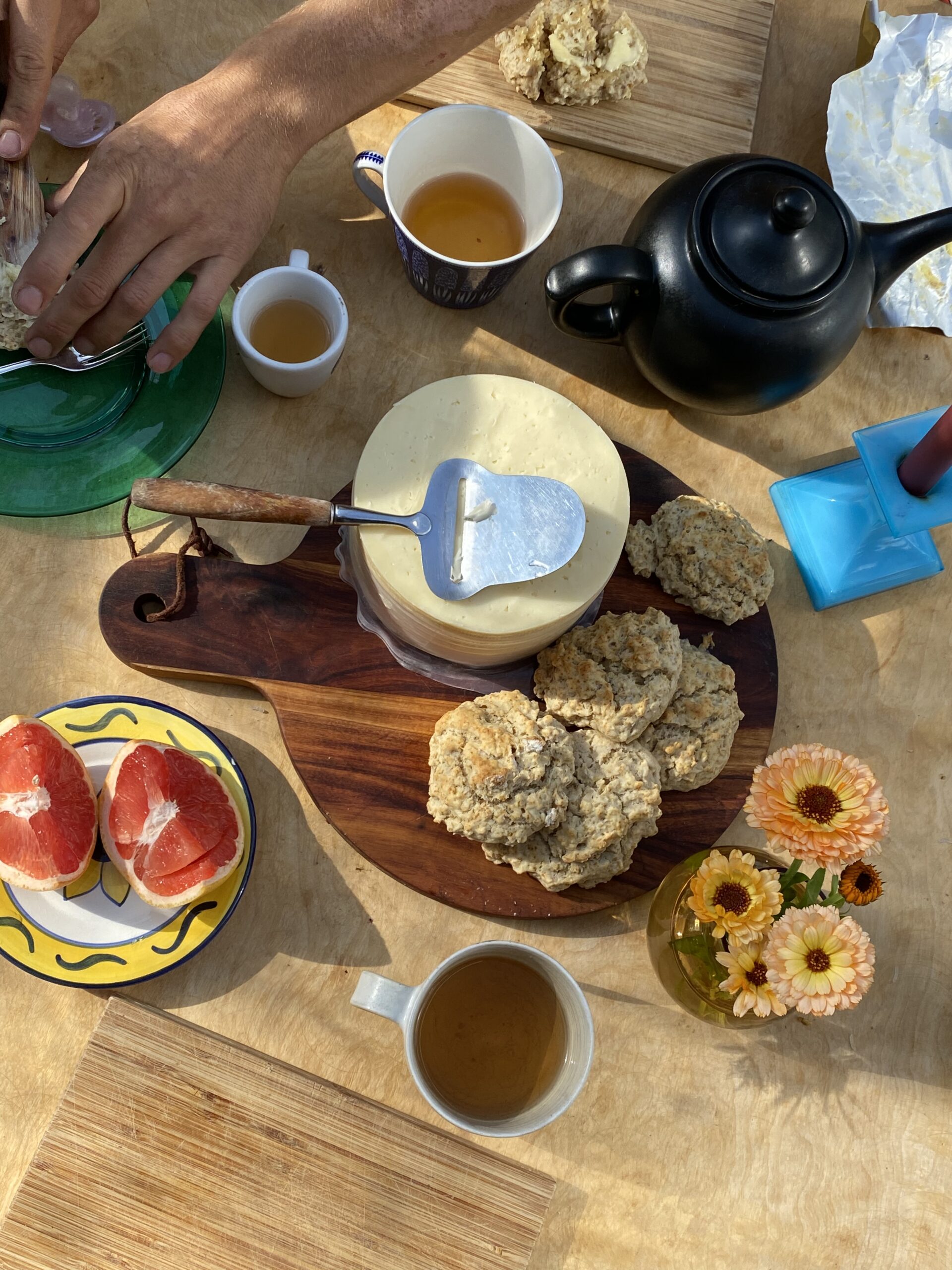 Darling September stanna en stund till