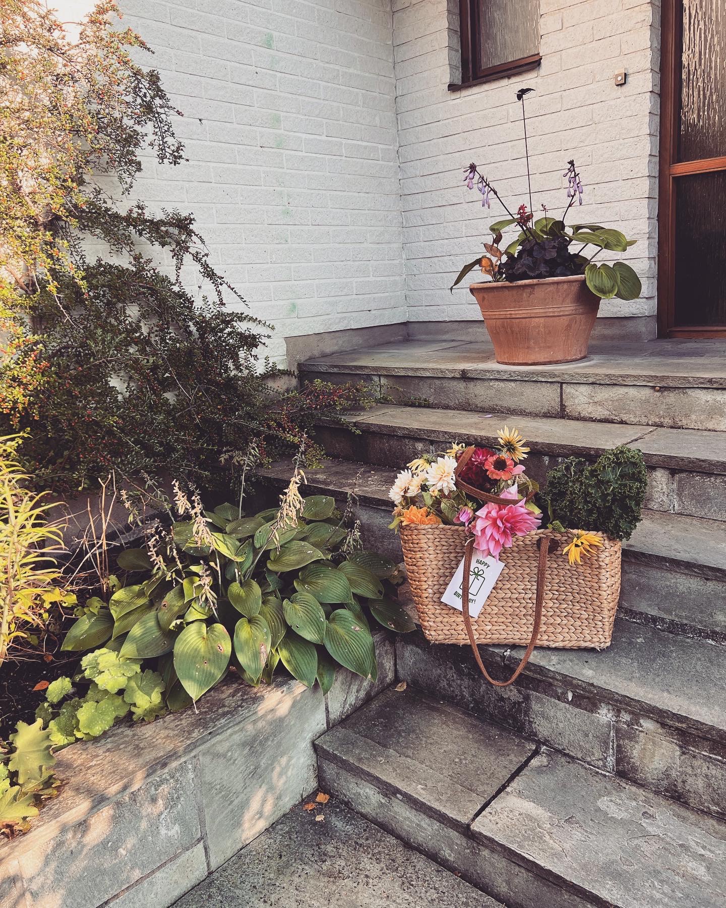 September bloom and Savoir launch