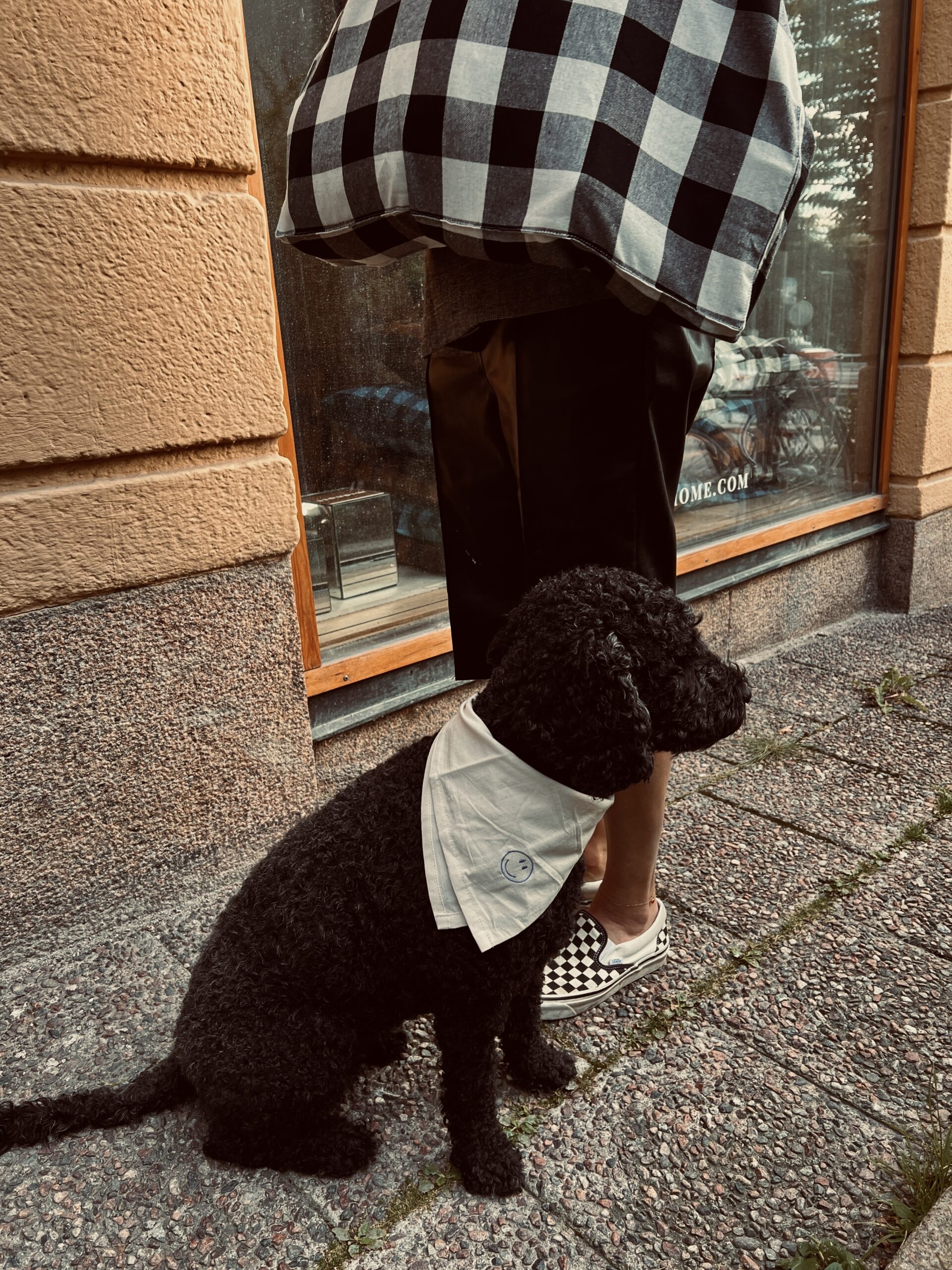 Marknad, mingel och måsten.