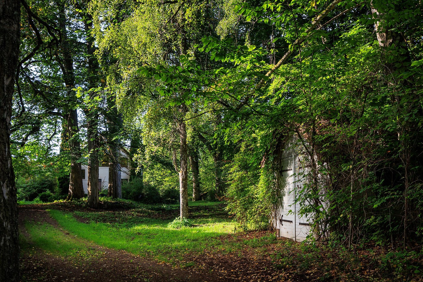 A dream home for sale