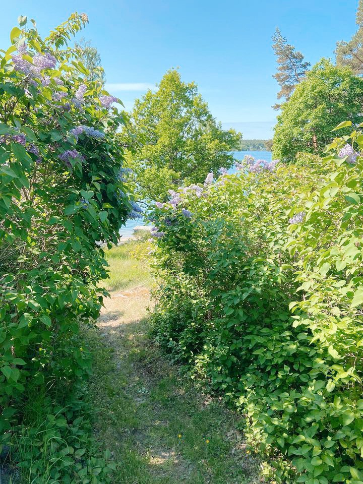 Retreats in Sweden