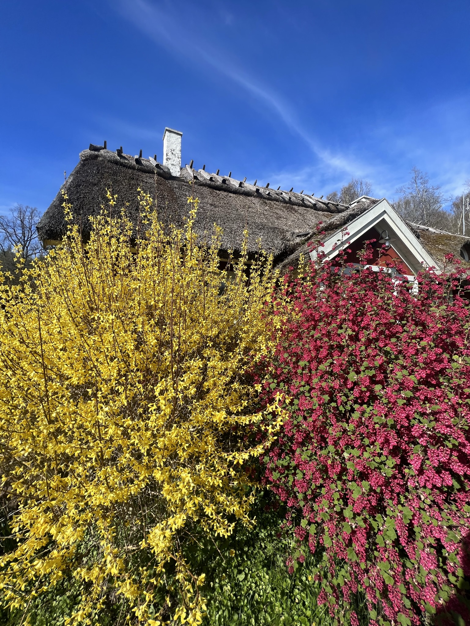 Retreats in Sweden