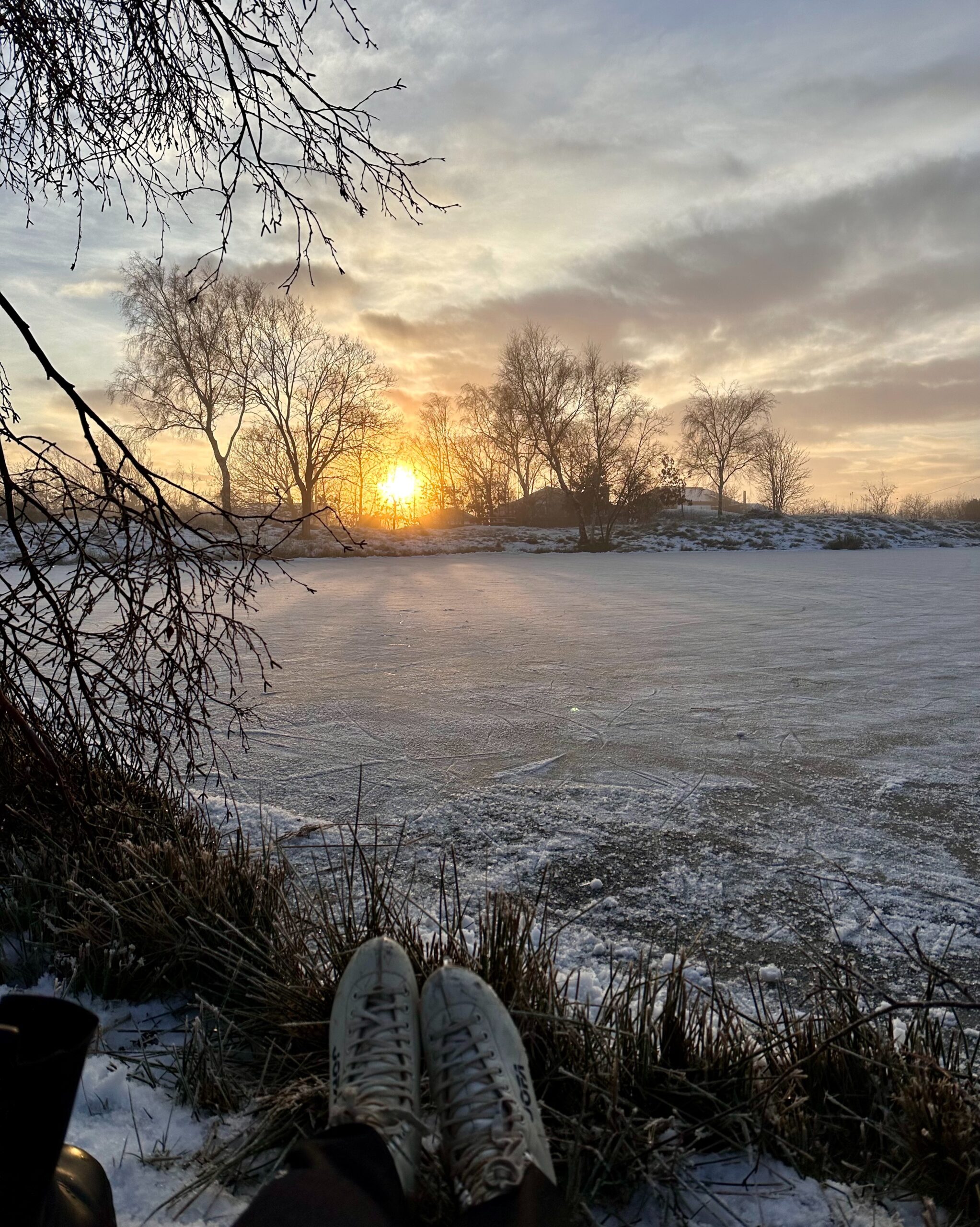 Vinter