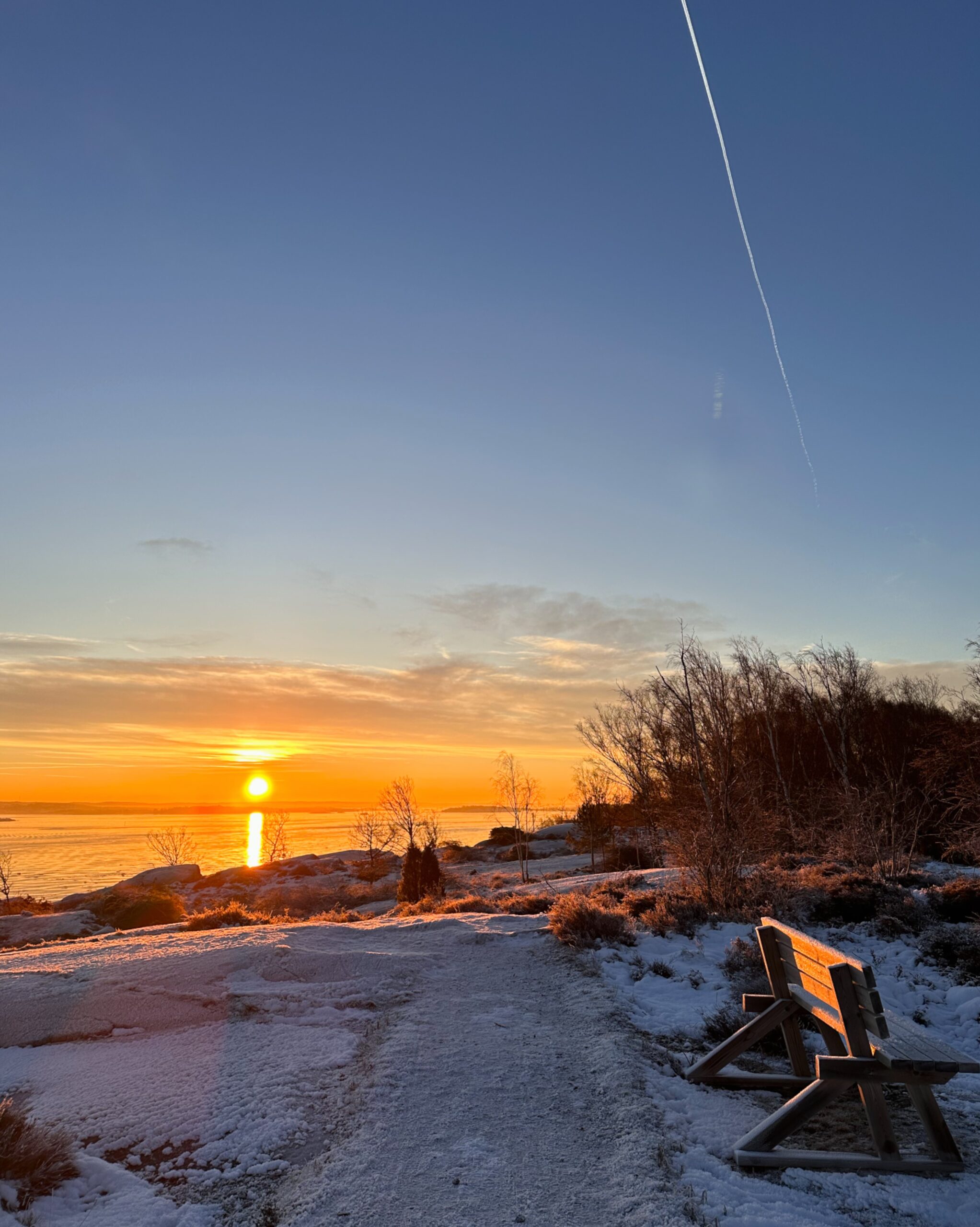 Vinter