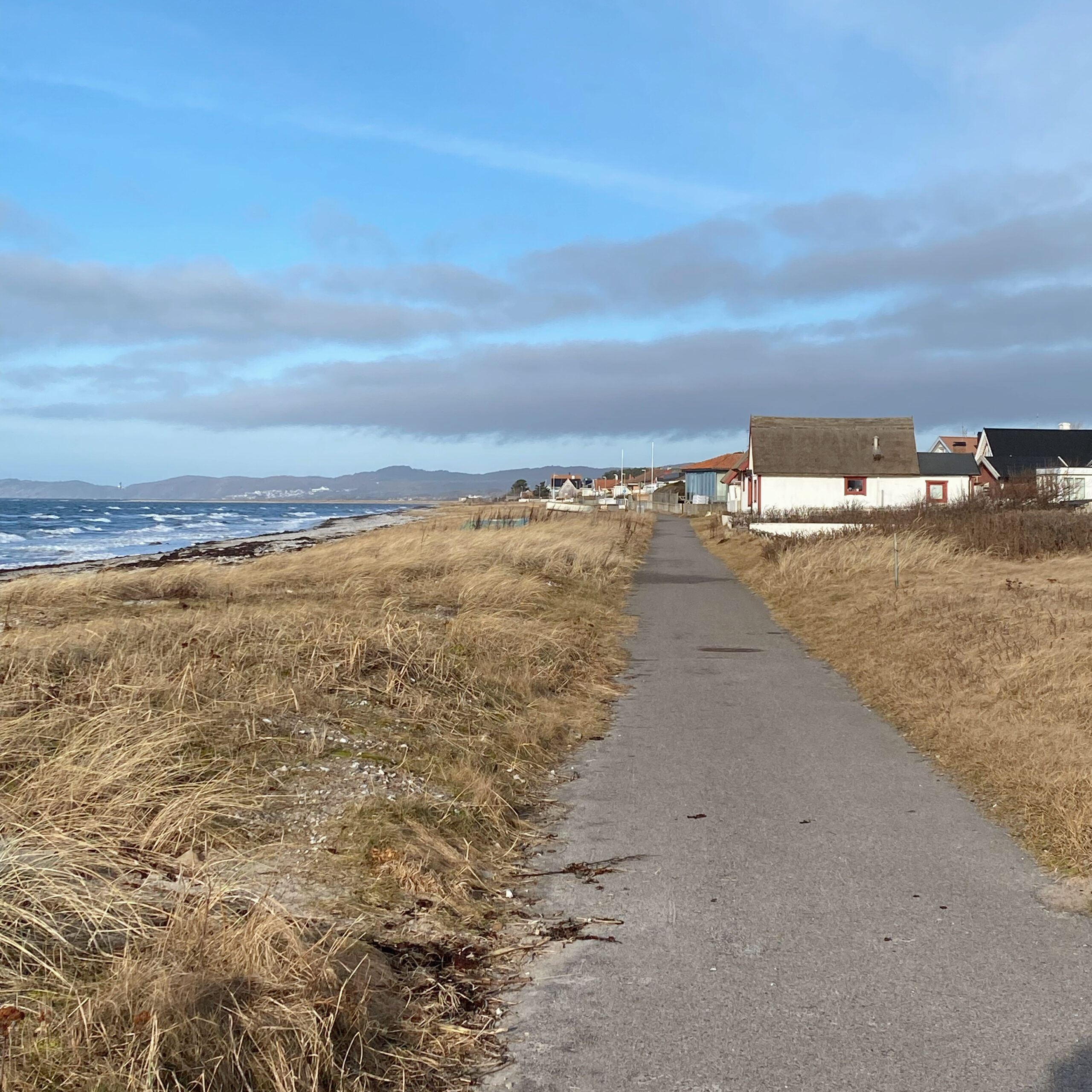 Renovering, inskolning och tusen projekt