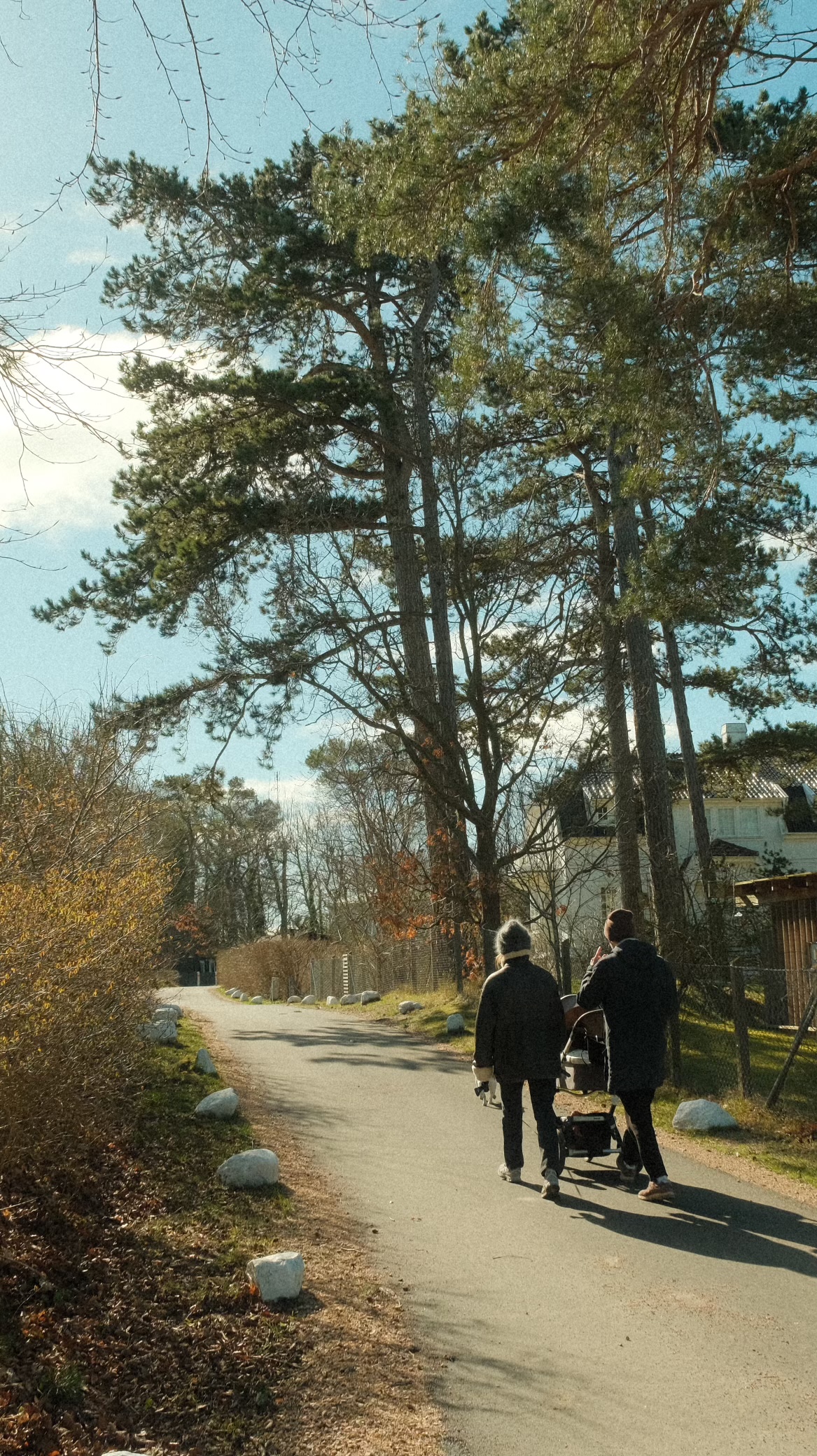 Sunday stroll