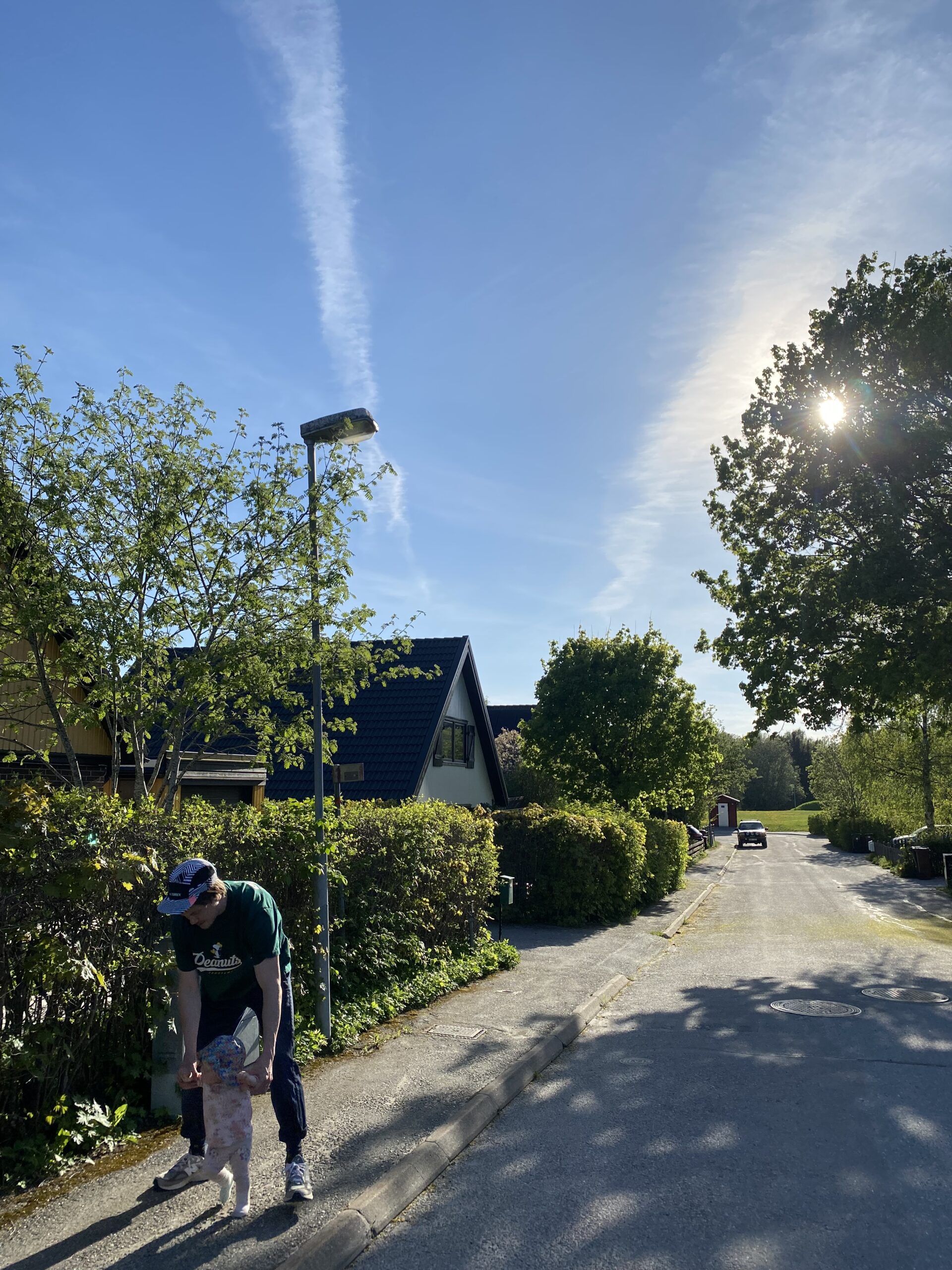 Levandet i nuet