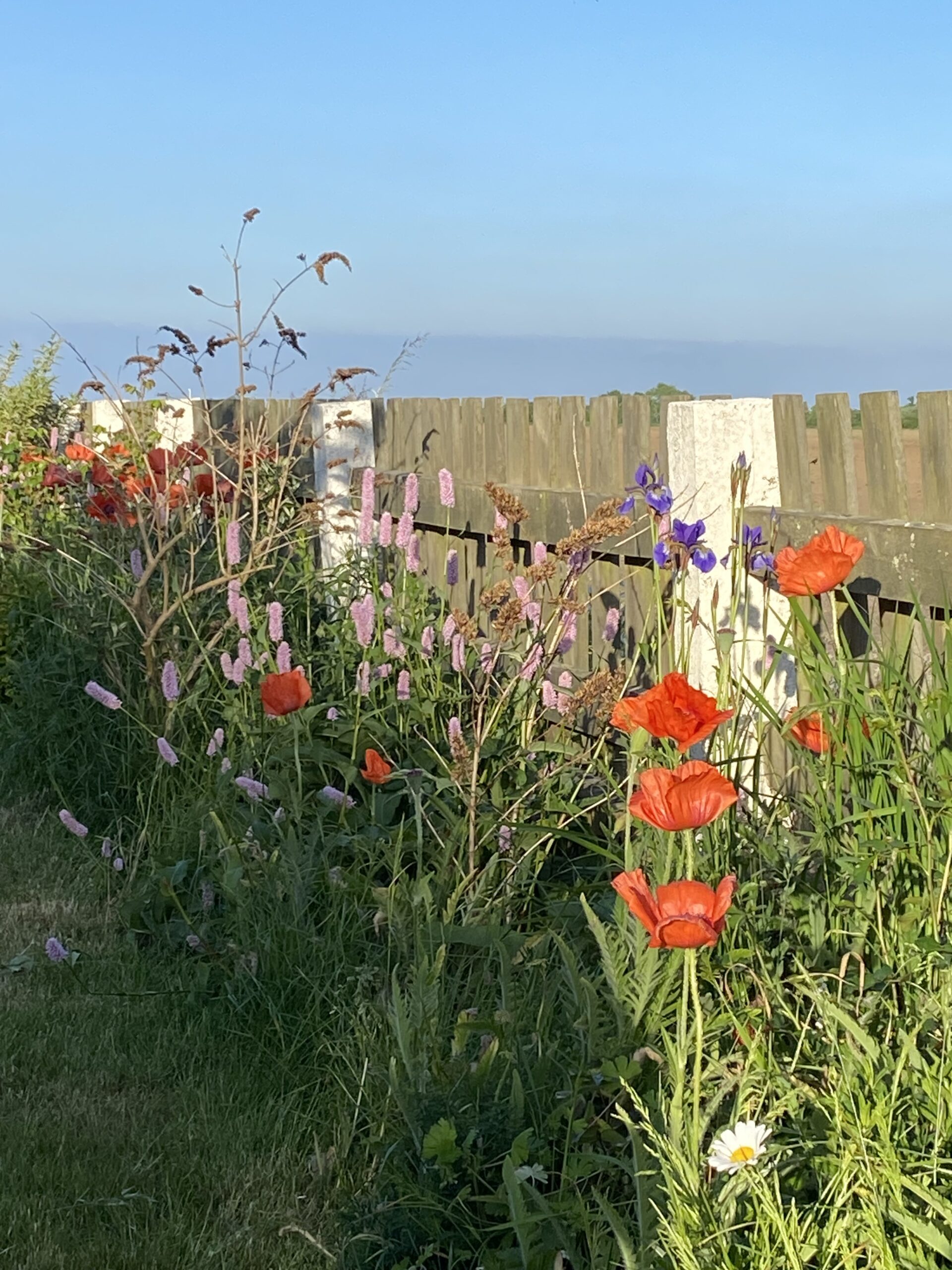 Sommar-overload i Maj