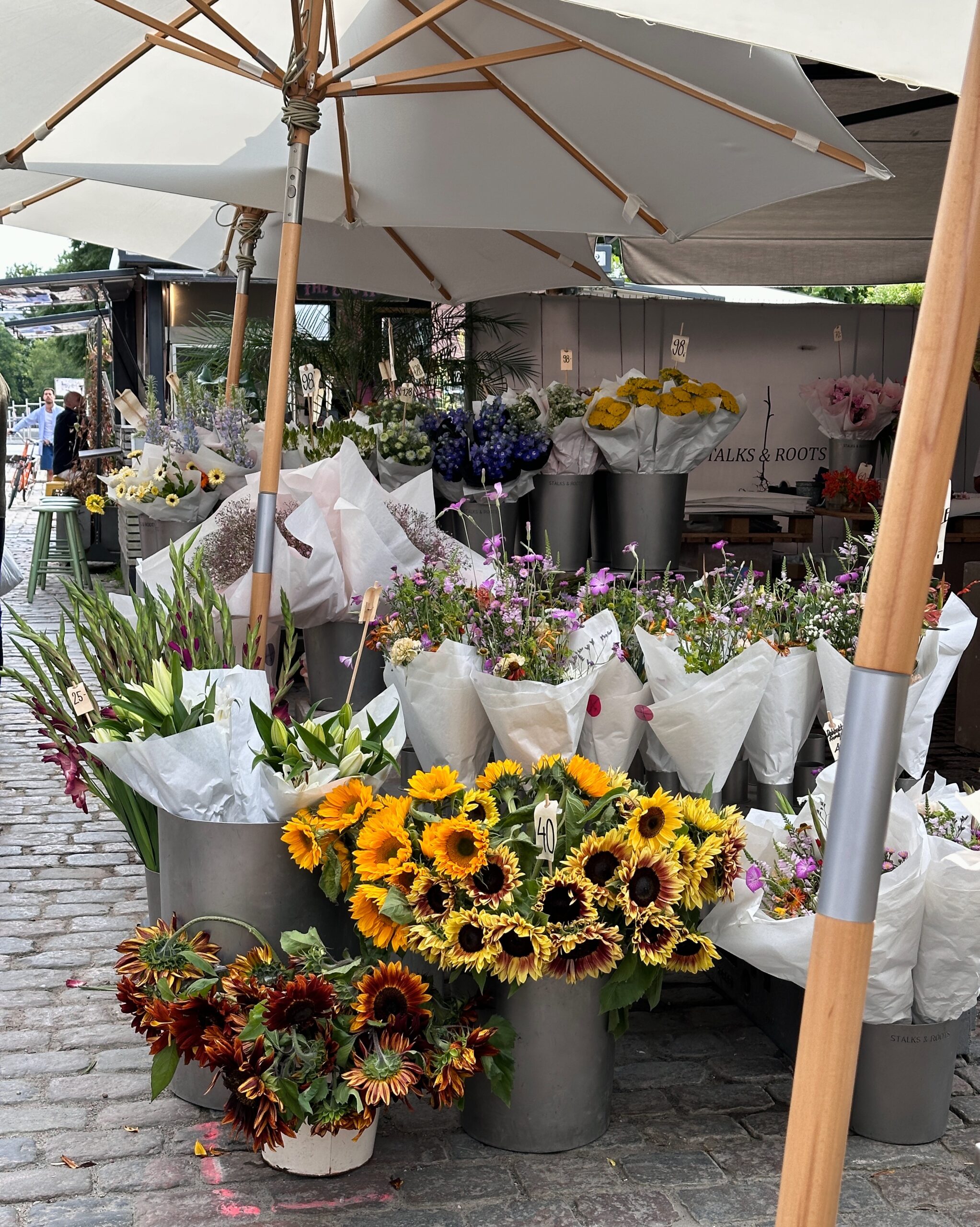 Köpenhamn i augusti