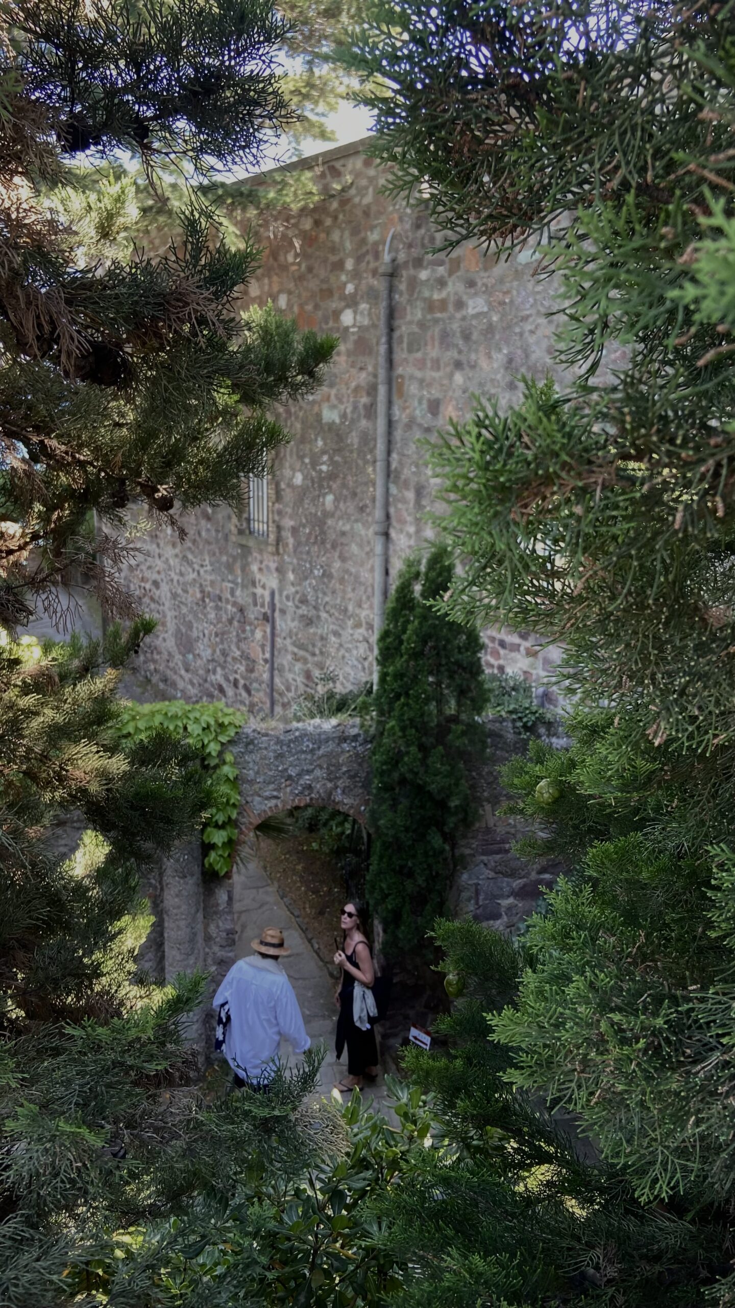 Third week in france