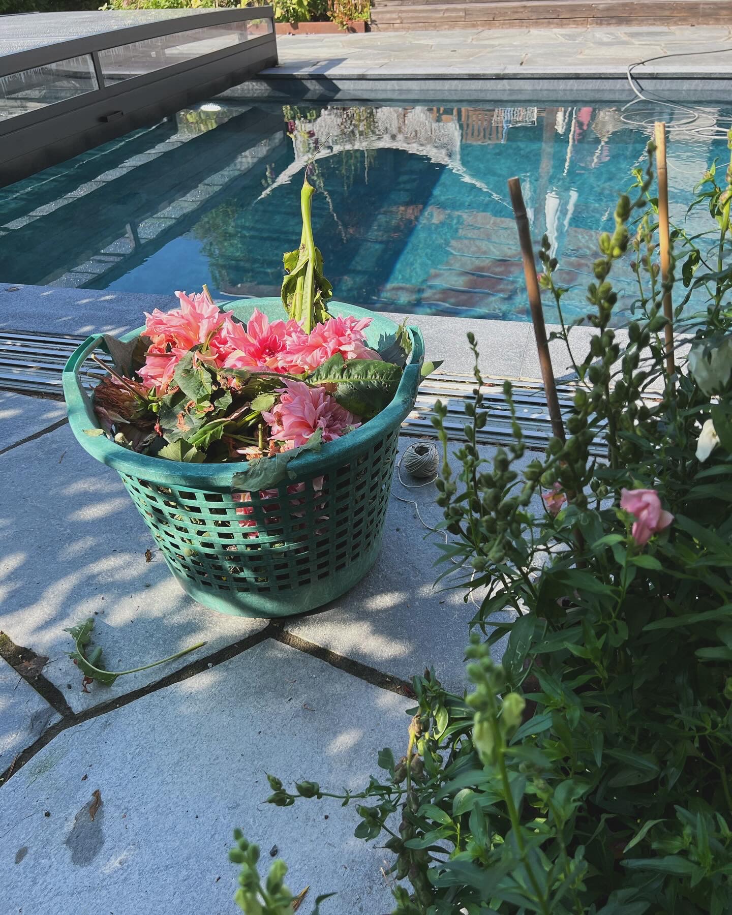Last summer breath
