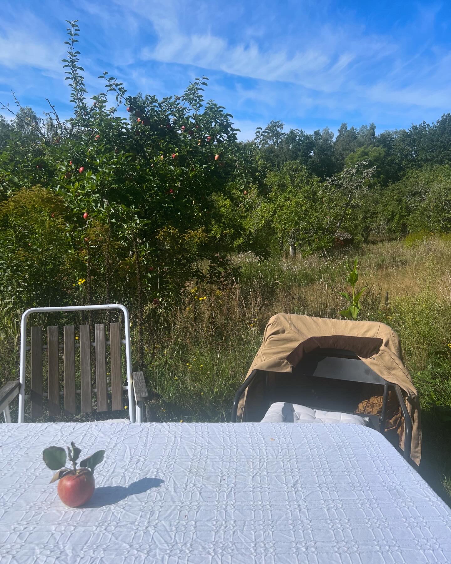 Womens camp – med wild cacao collective