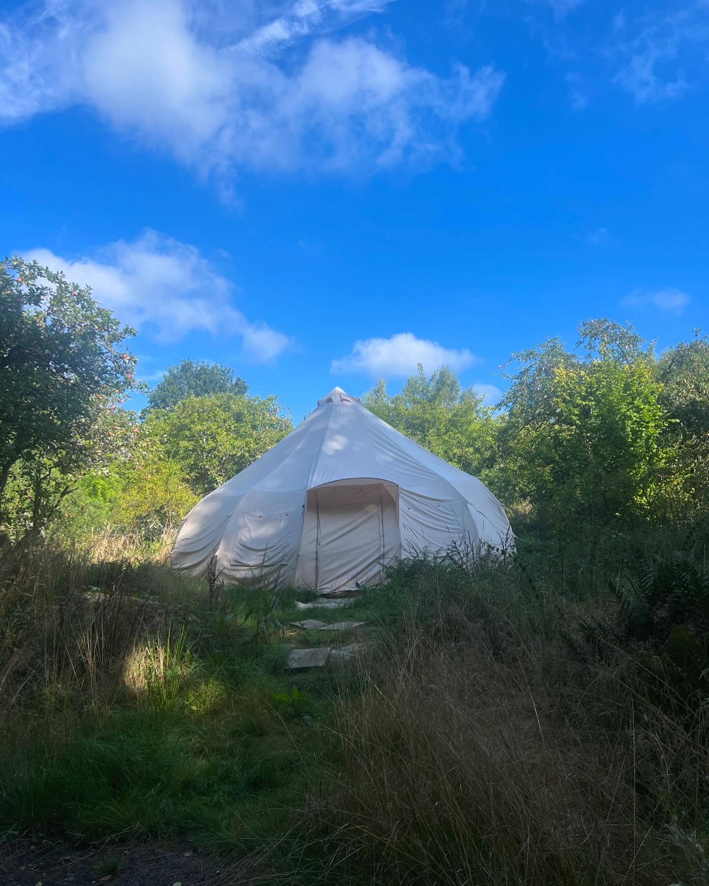 Womens camp – med wild cacao collective