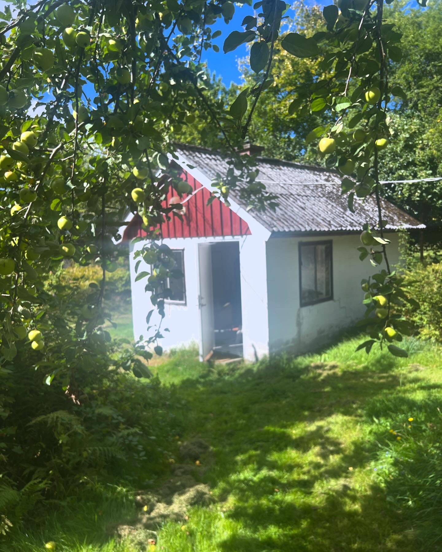 Womens camp – med wild cacao collective