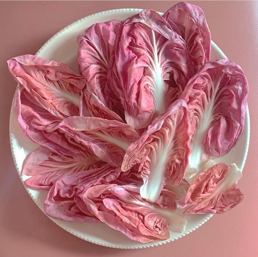 Pinkspo