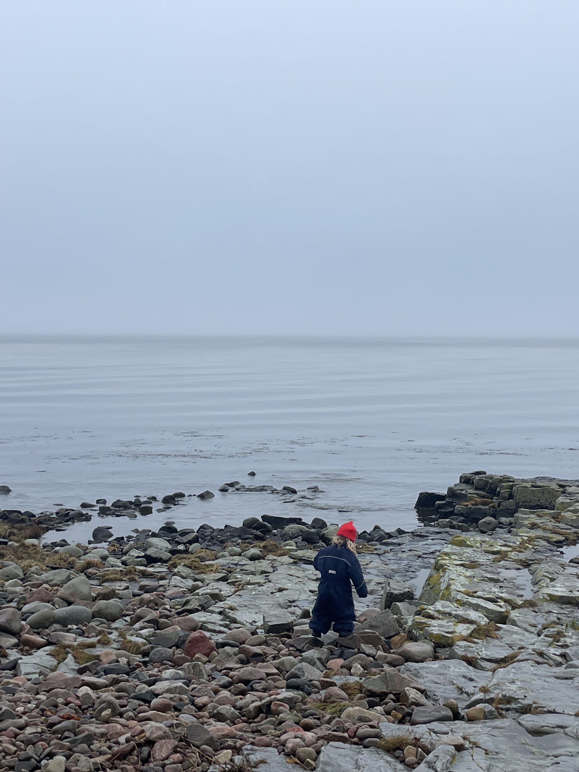 Tema havet