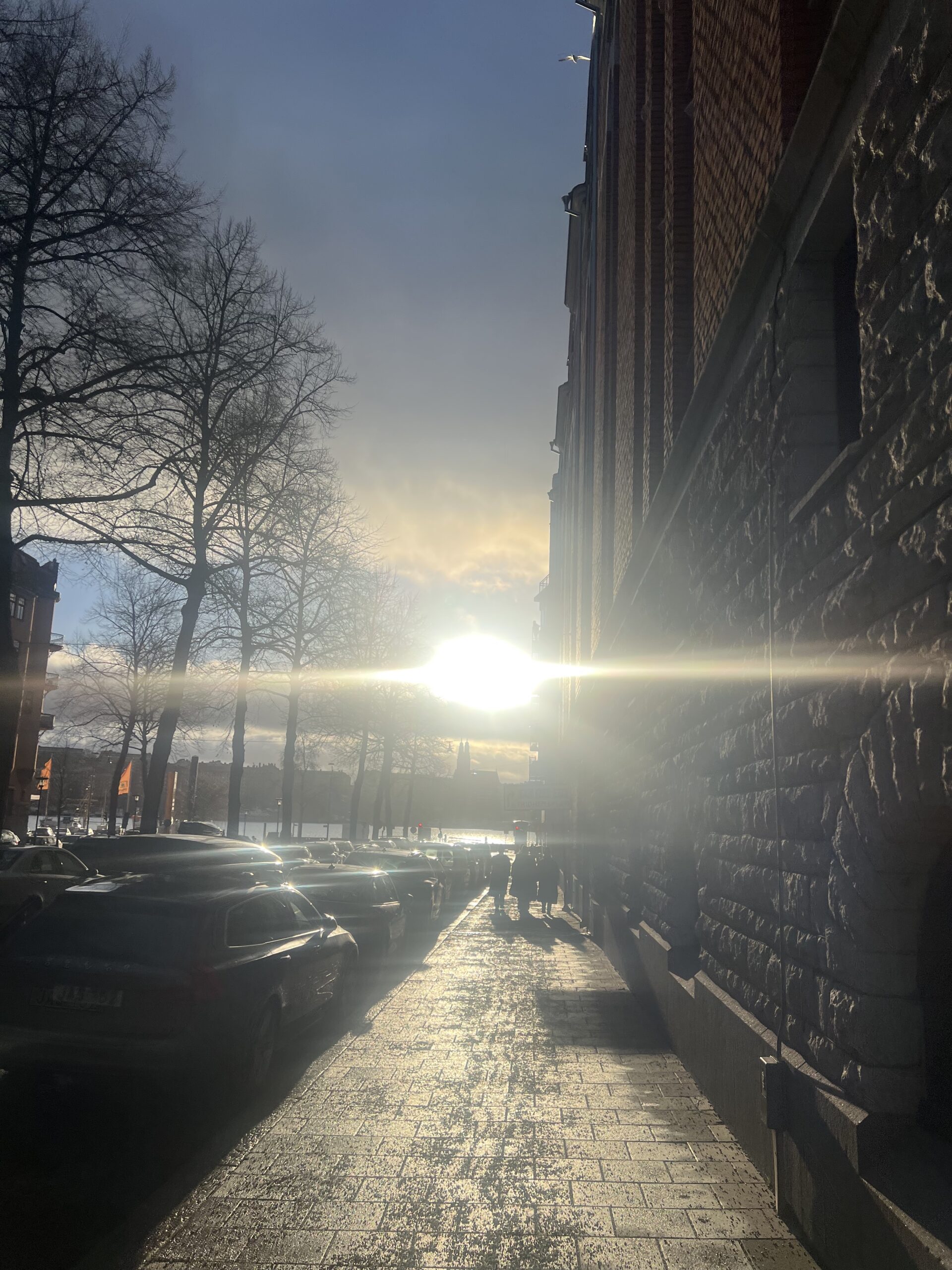 While waiting for spring