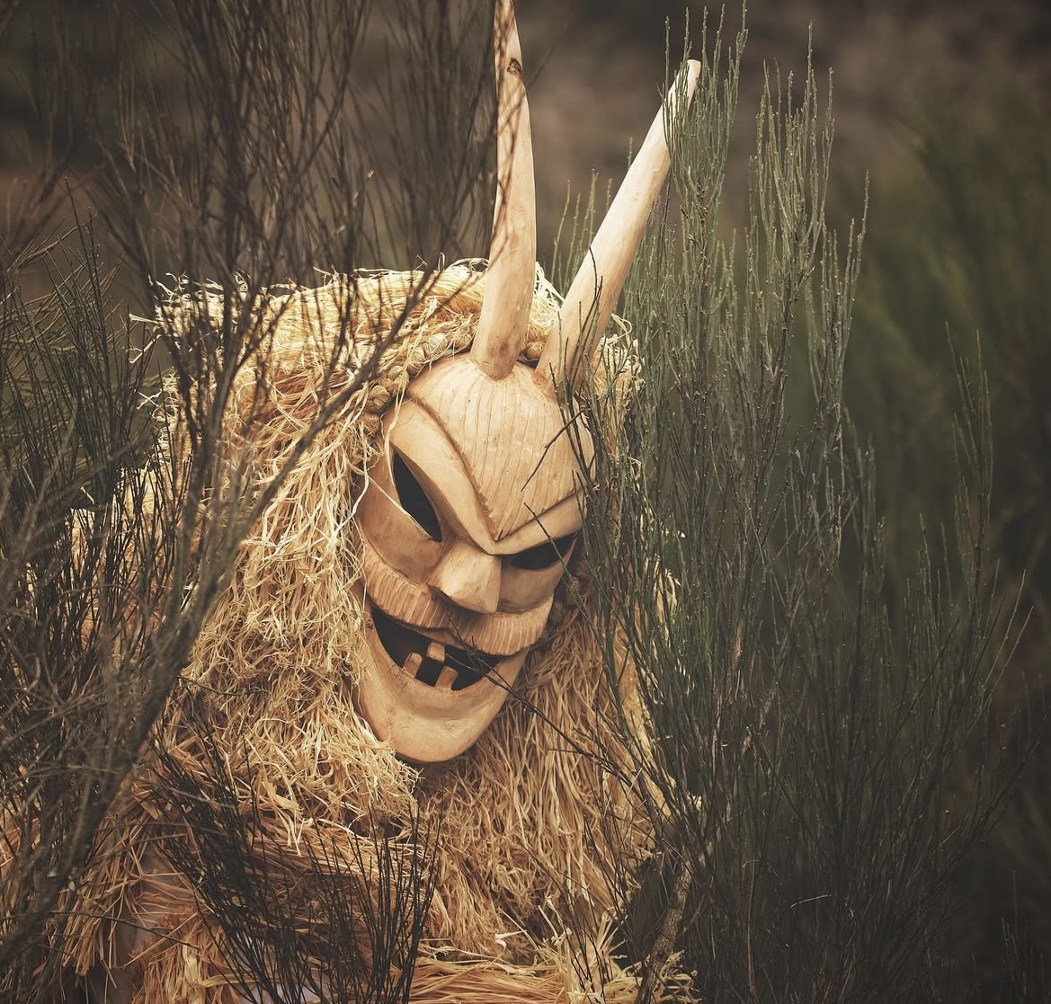 Masked Traditions av Ashley Suszczynski