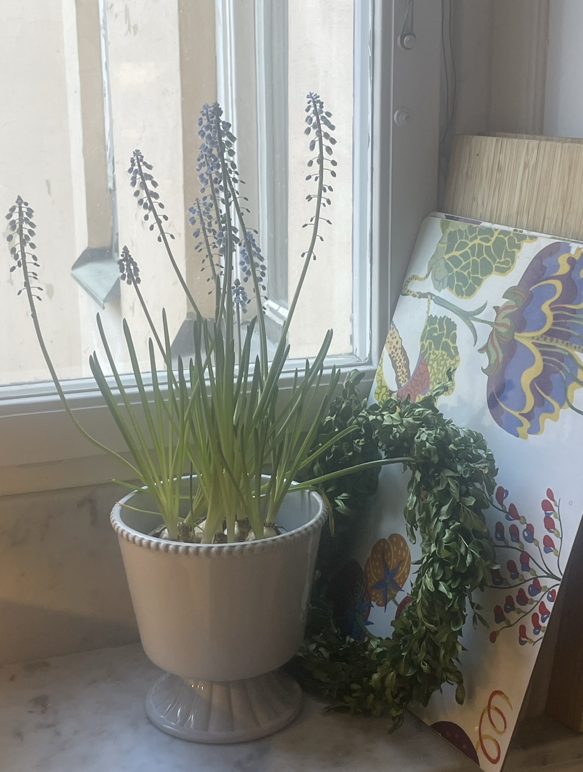 De senaste veckorna i bilder