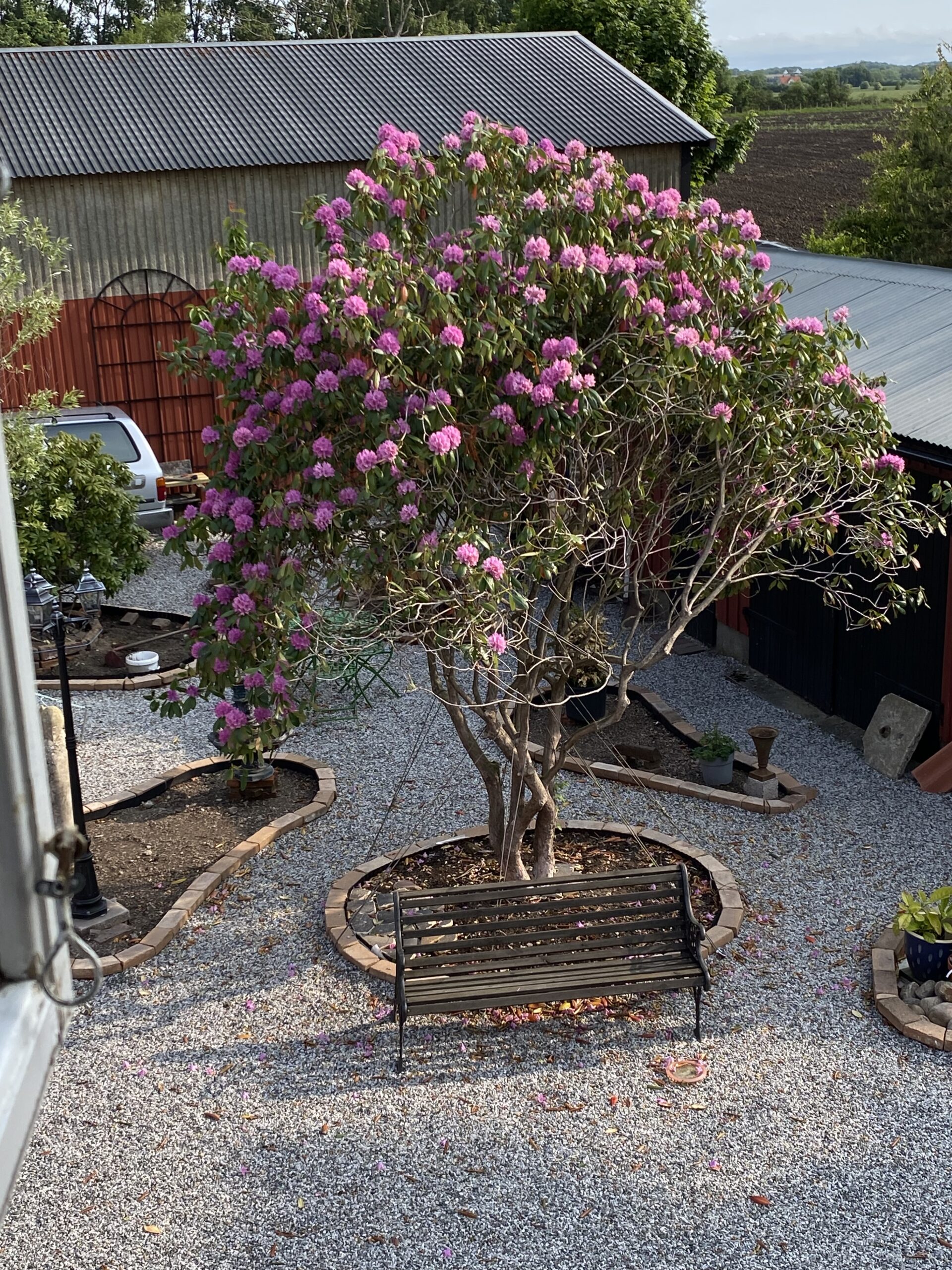 Lite trädgård, lite slott och lite loppis