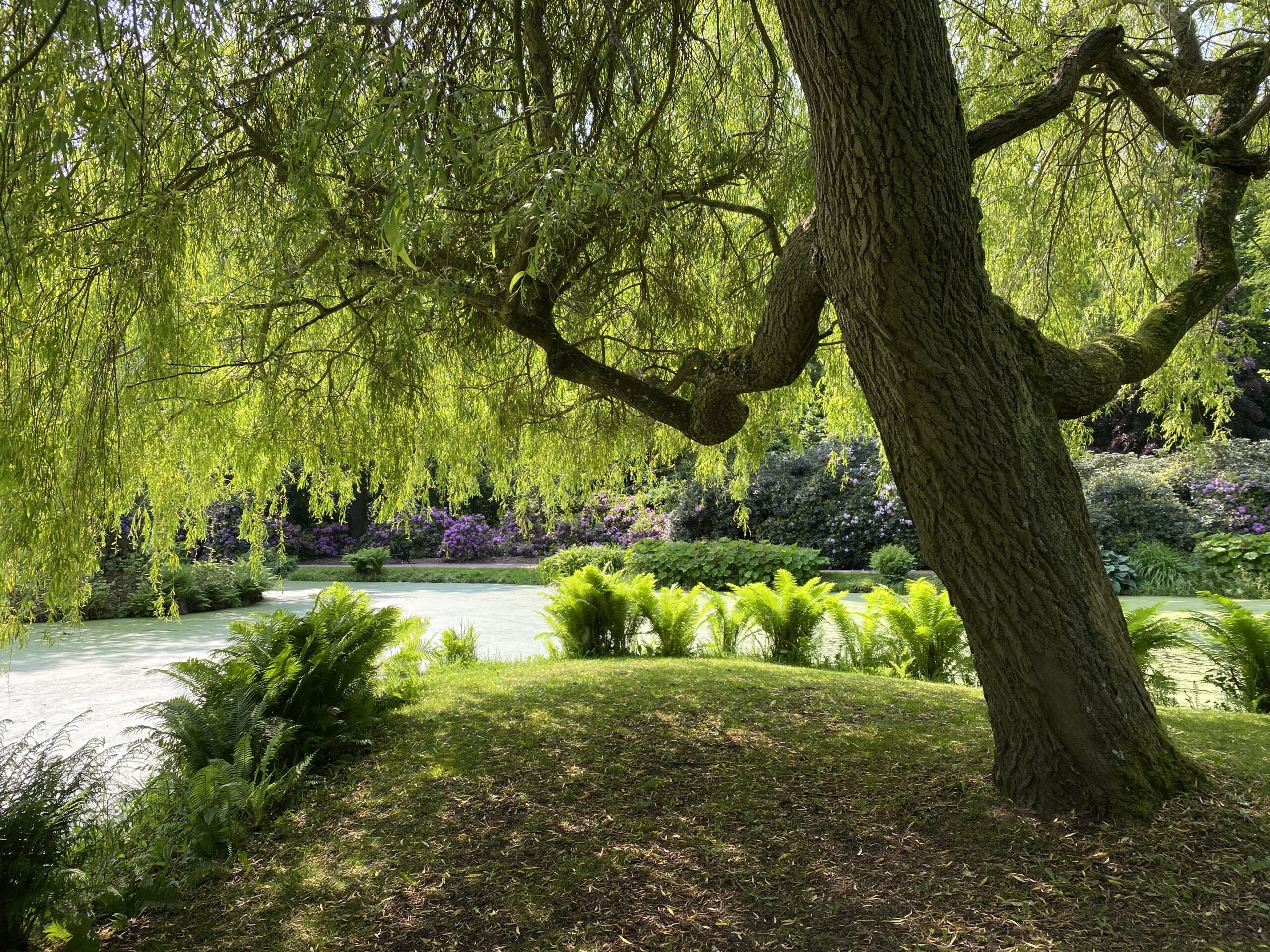 Lite trädgård, lite slott och lite loppis