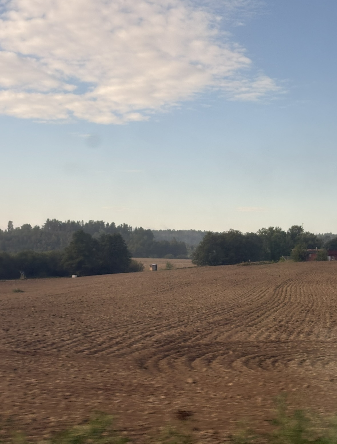 Höstterminen