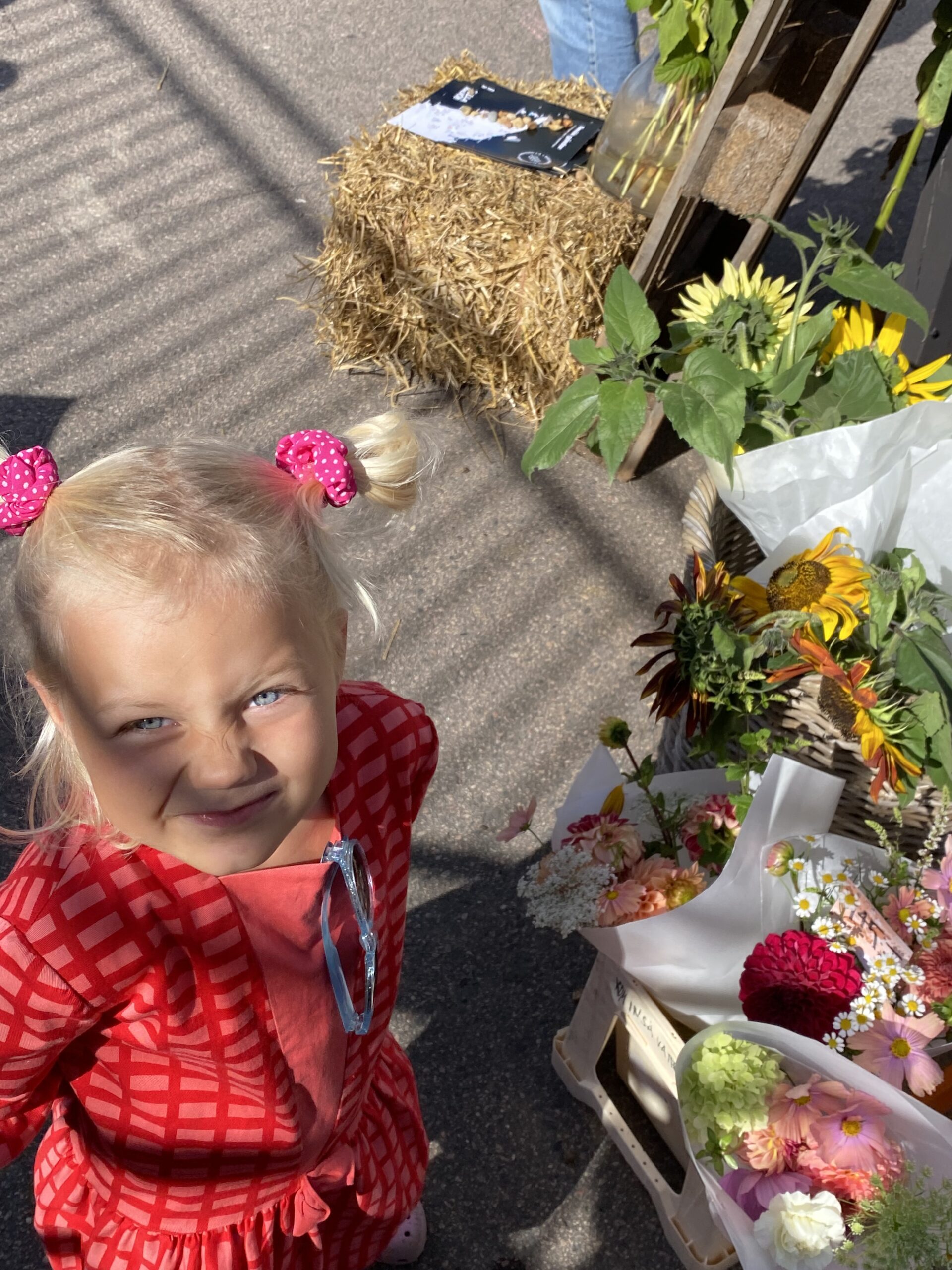 Harvest moon och skördefest
