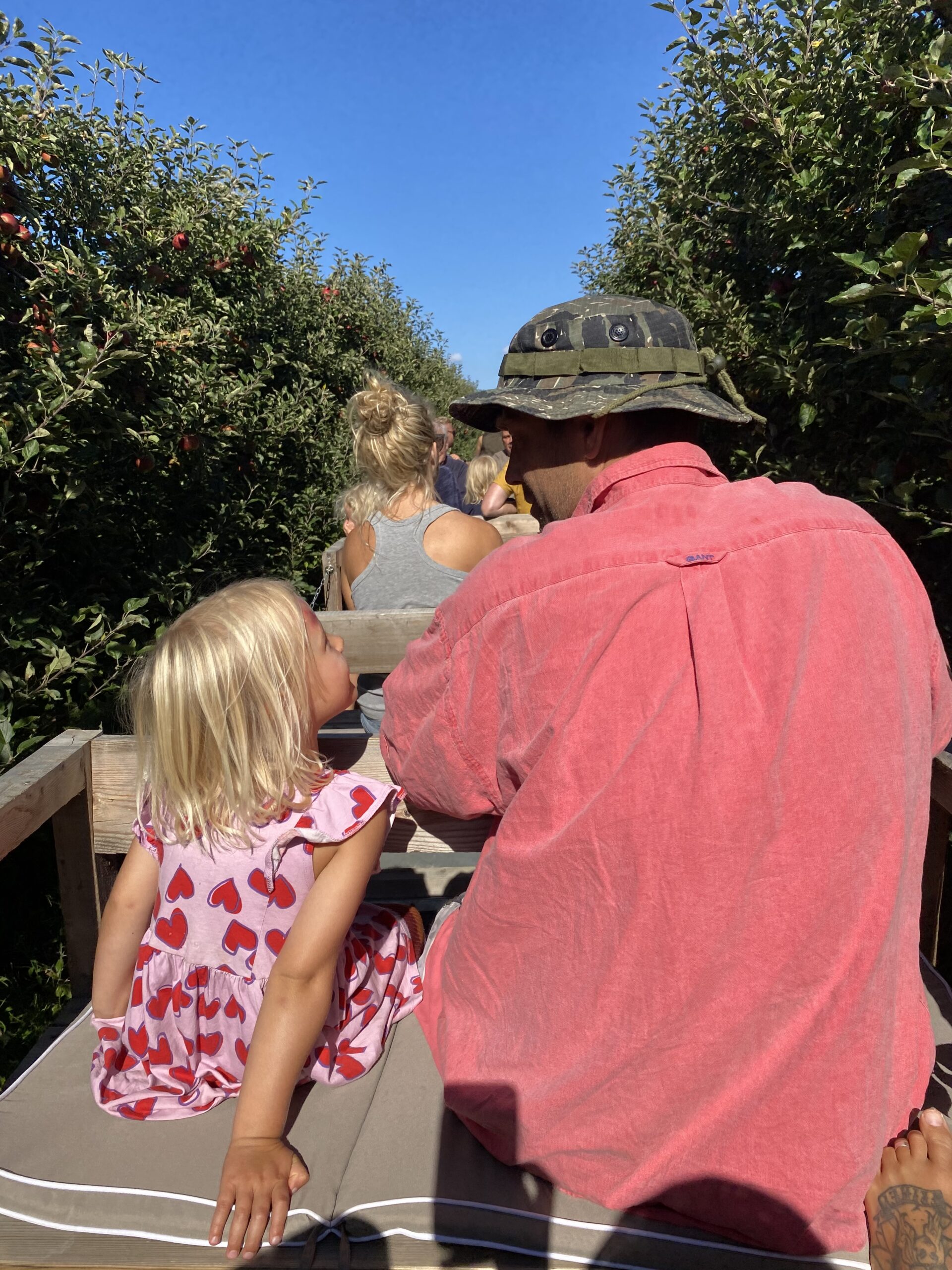 Harvest moon och skördefest