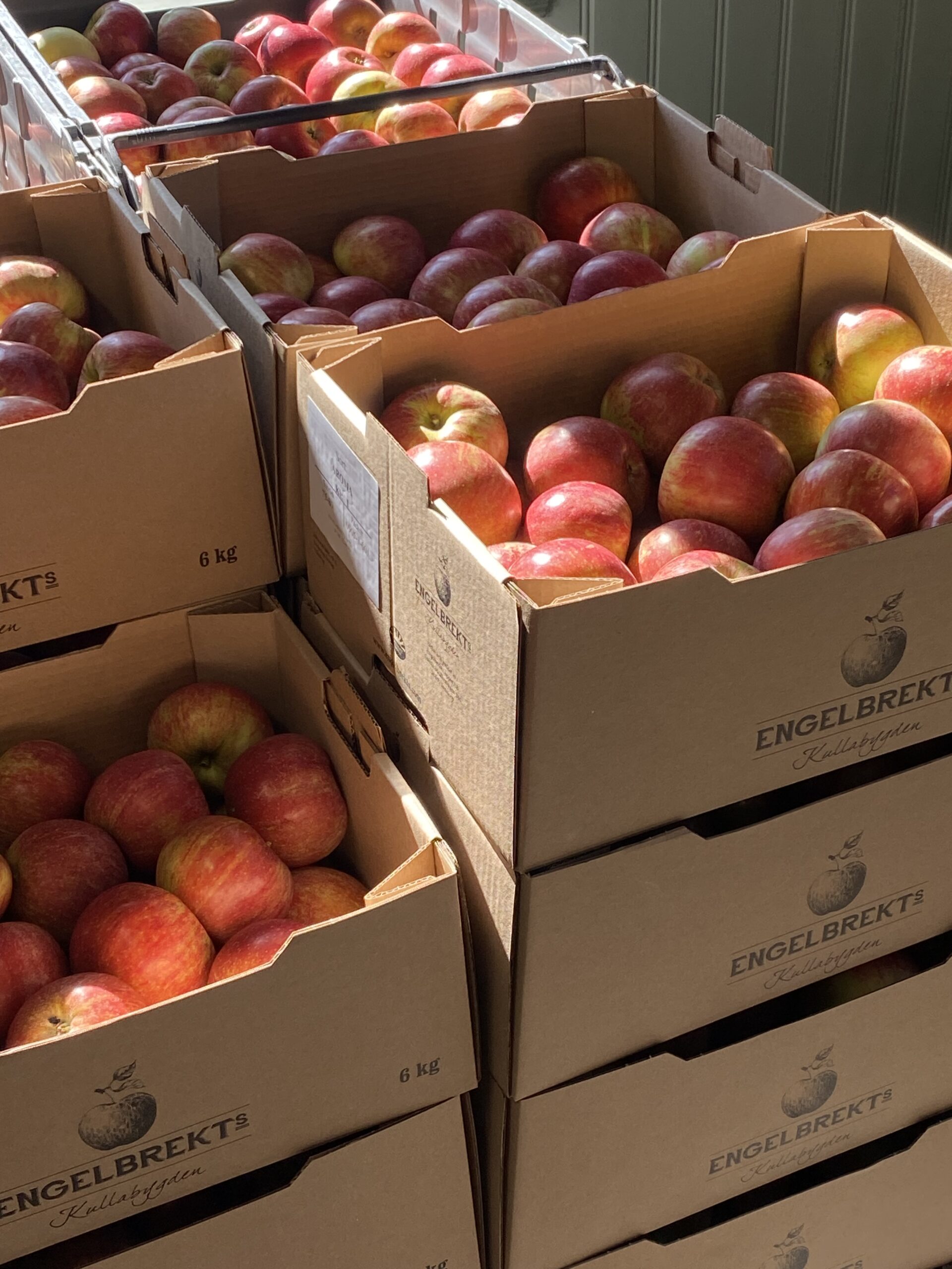 Harvest moon och skördefest