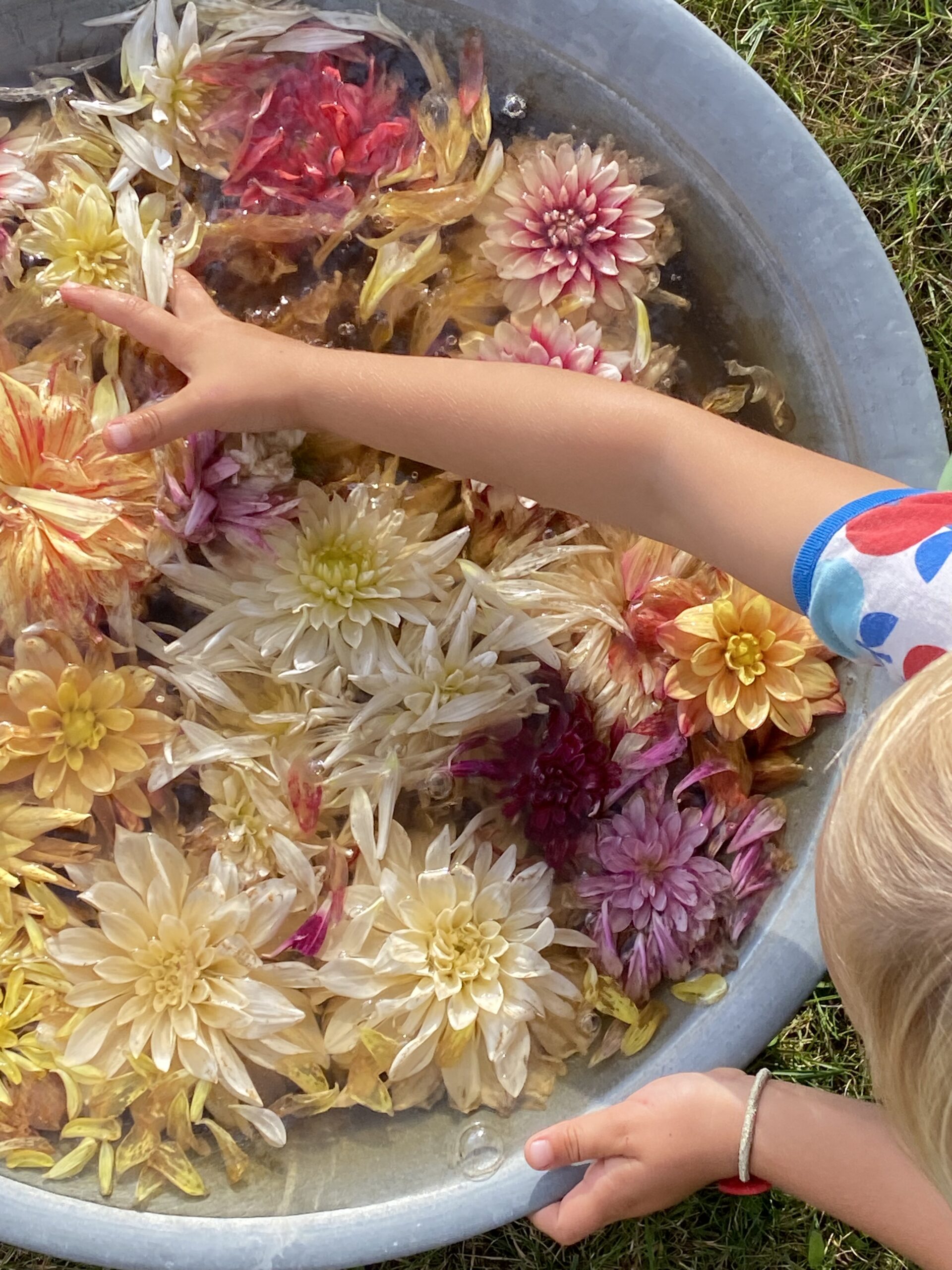 Nya vänner och tankar efter flytten