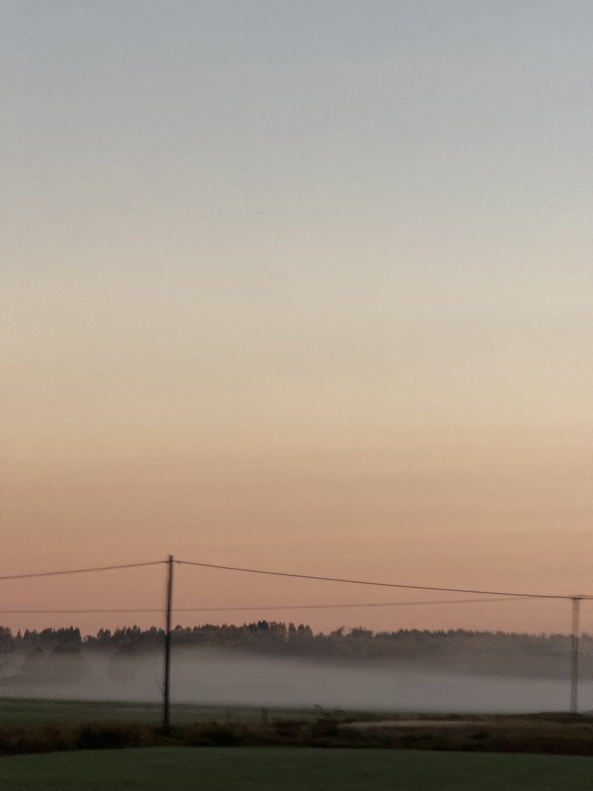 Närvaro