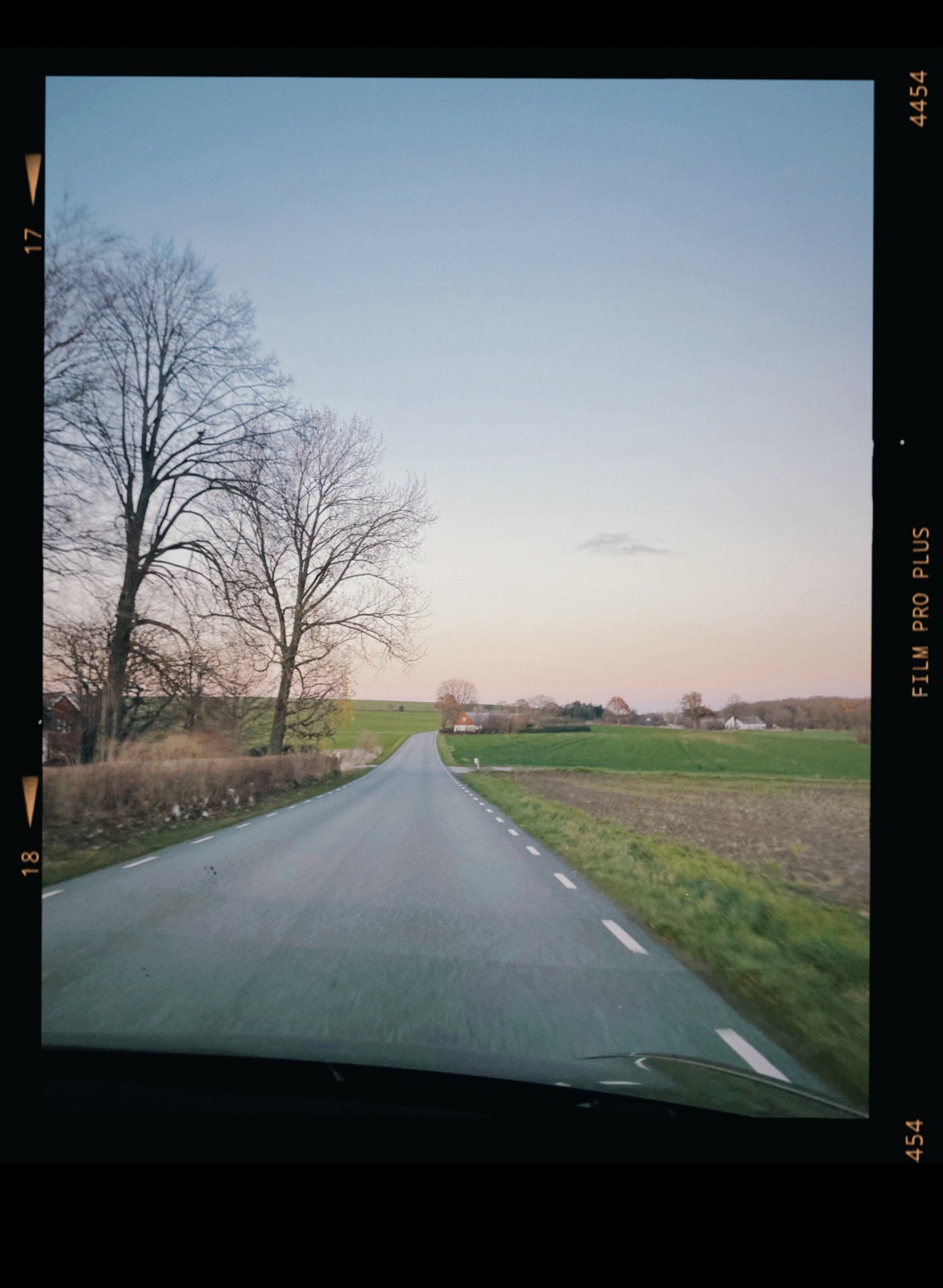 Gåsamiddag på Österlen..