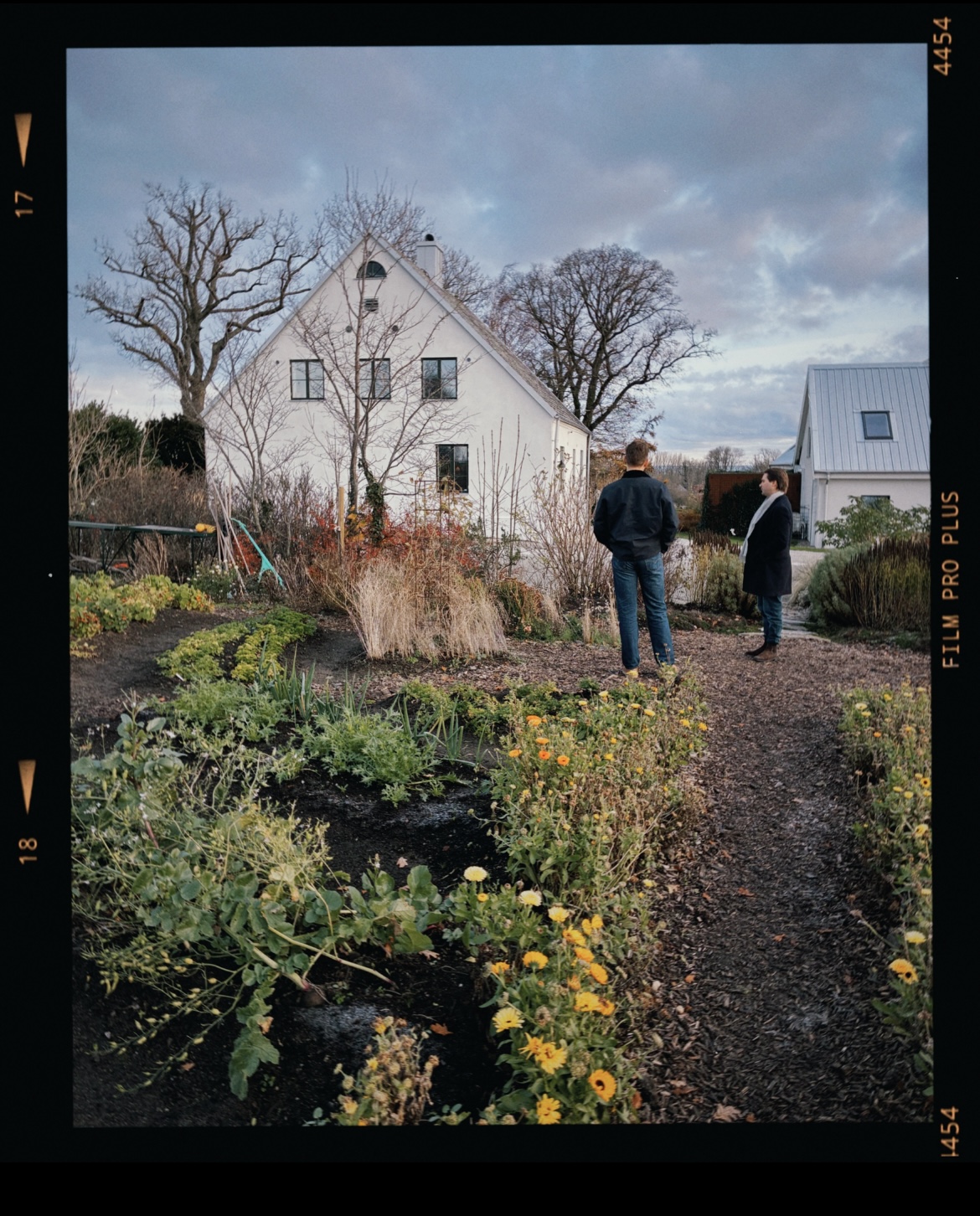 Gåsamiddag på Österlen..