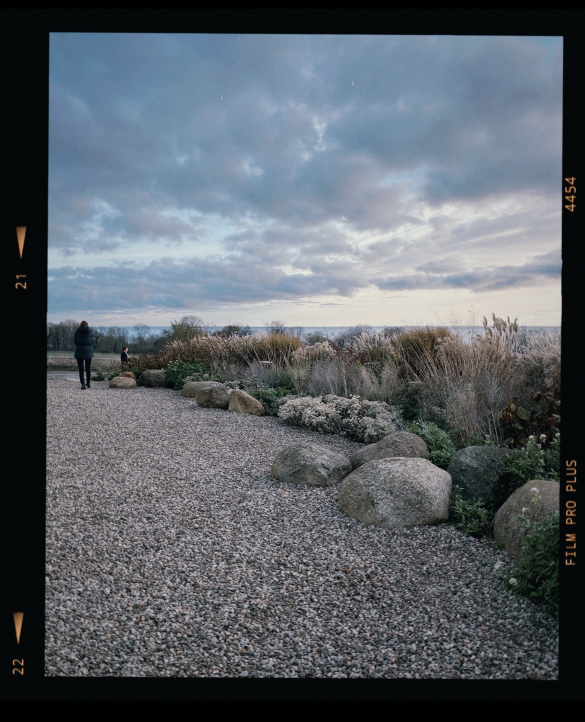 Gåsamiddag på Österlen..