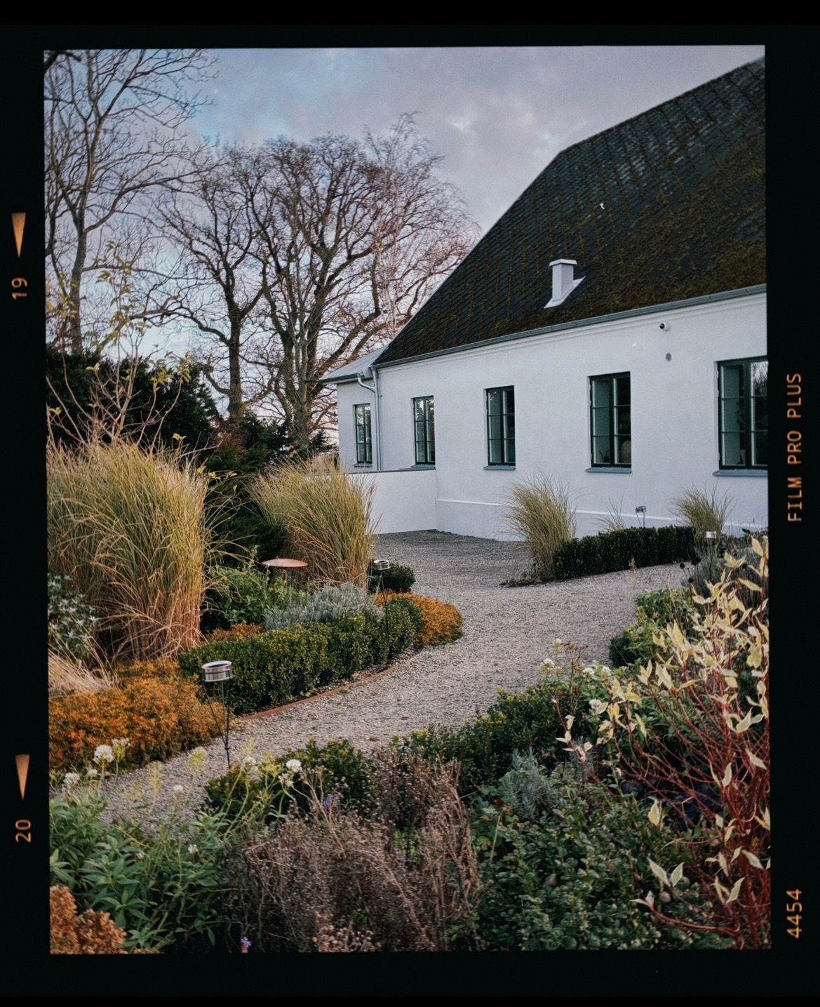 Gåsamiddag på Österlen..