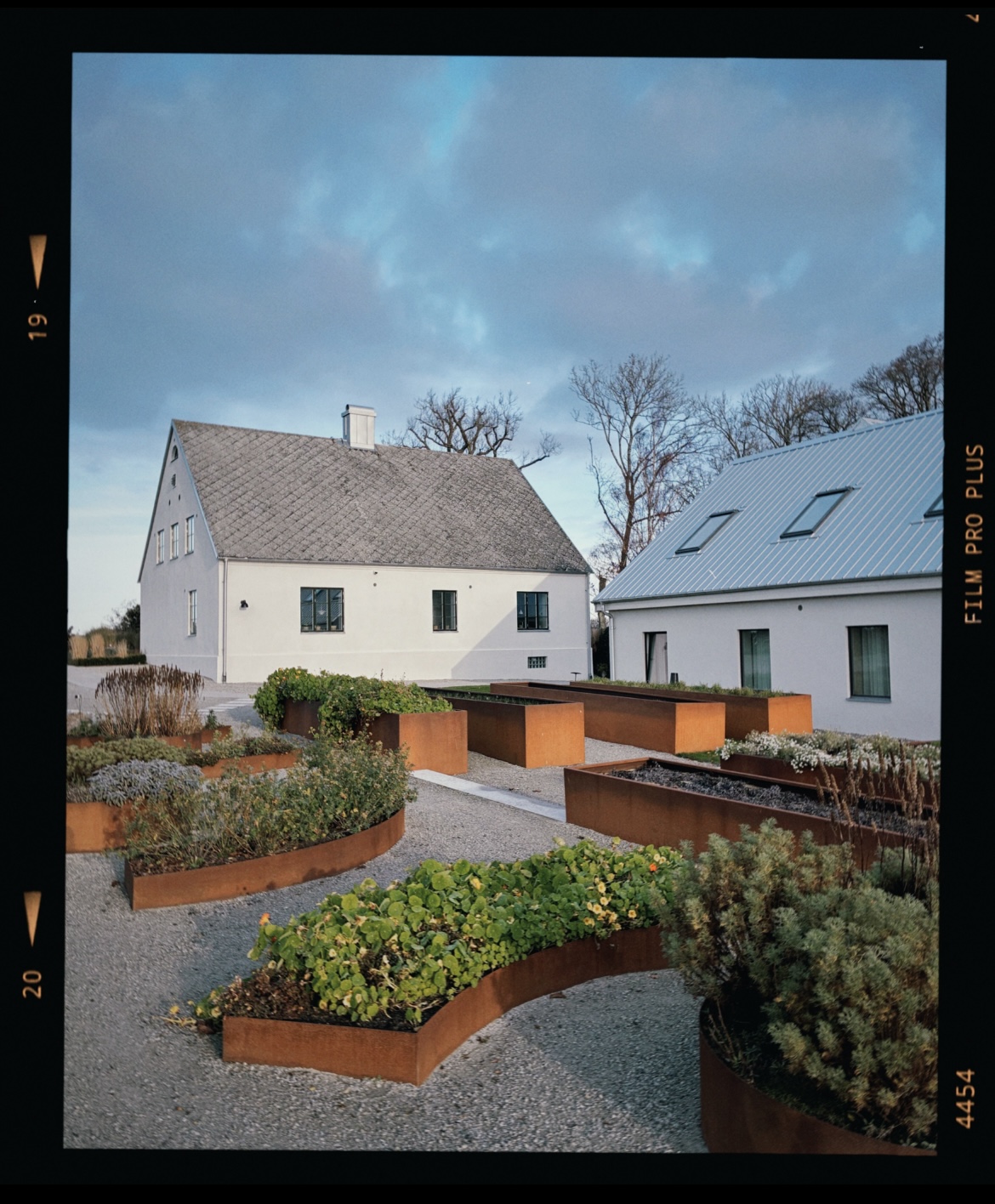 Gåsamiddag på Österlen..