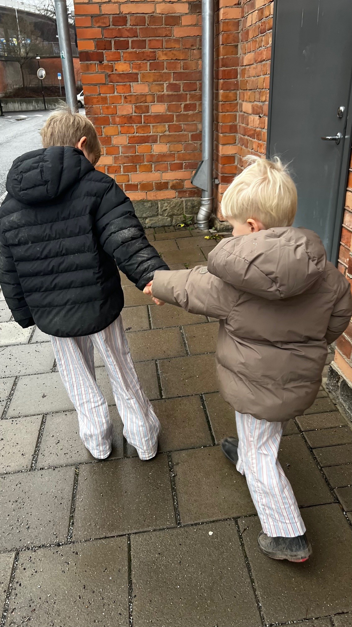 Fluffy is for REAL- det är nu det händer