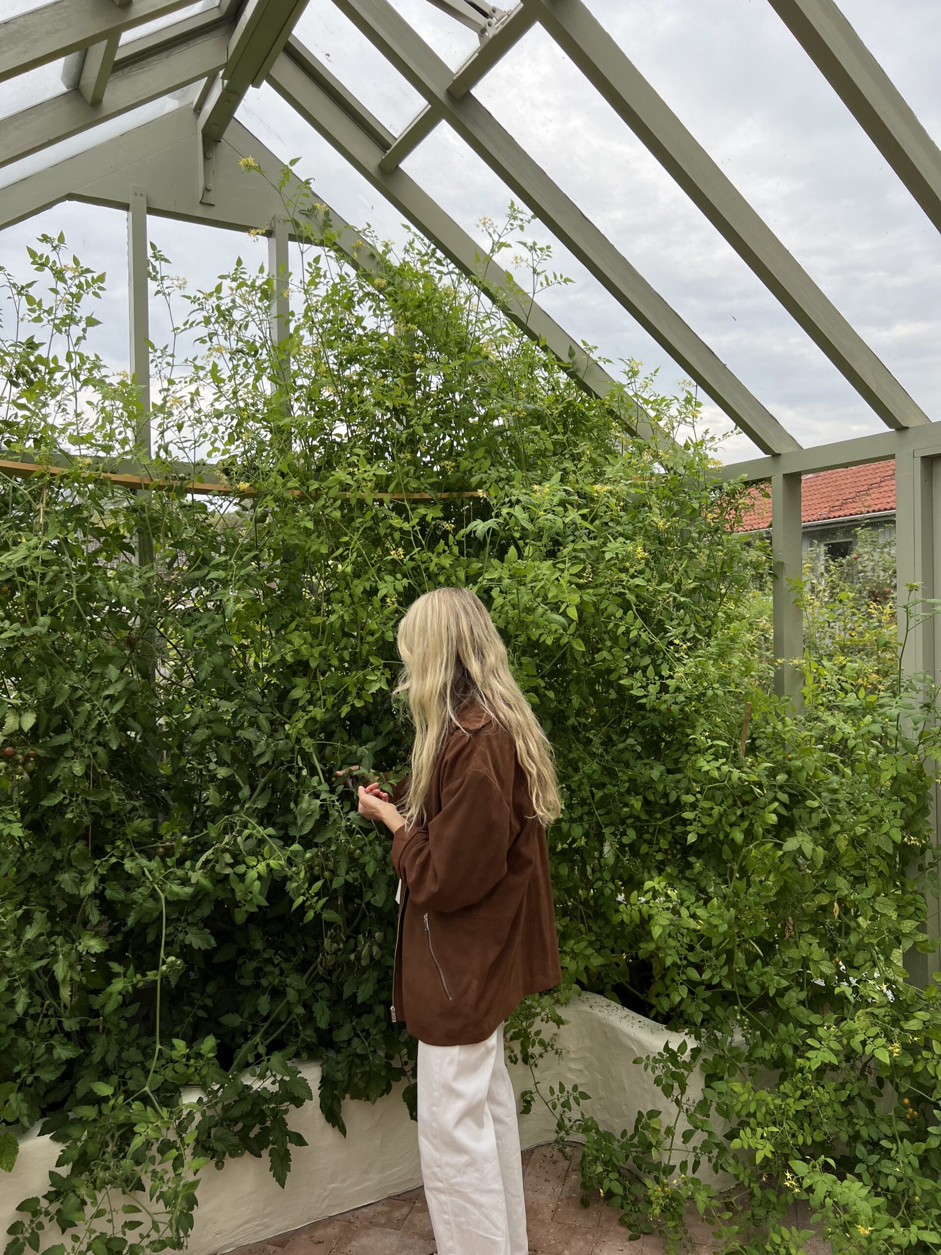 Trädgården och vad jag vill odla i år